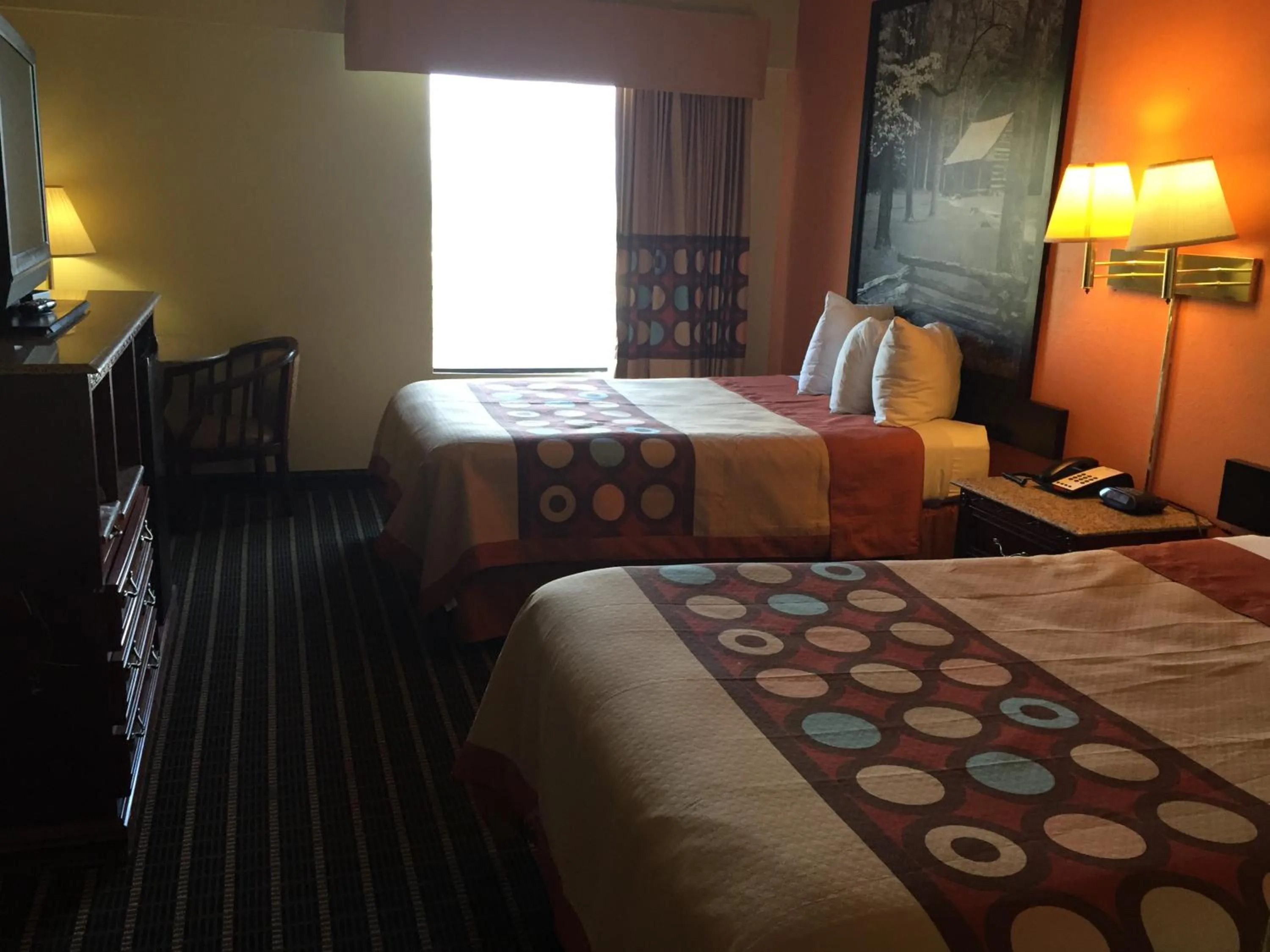 Other, Bed in Super 8 by Wyndham Dandridge