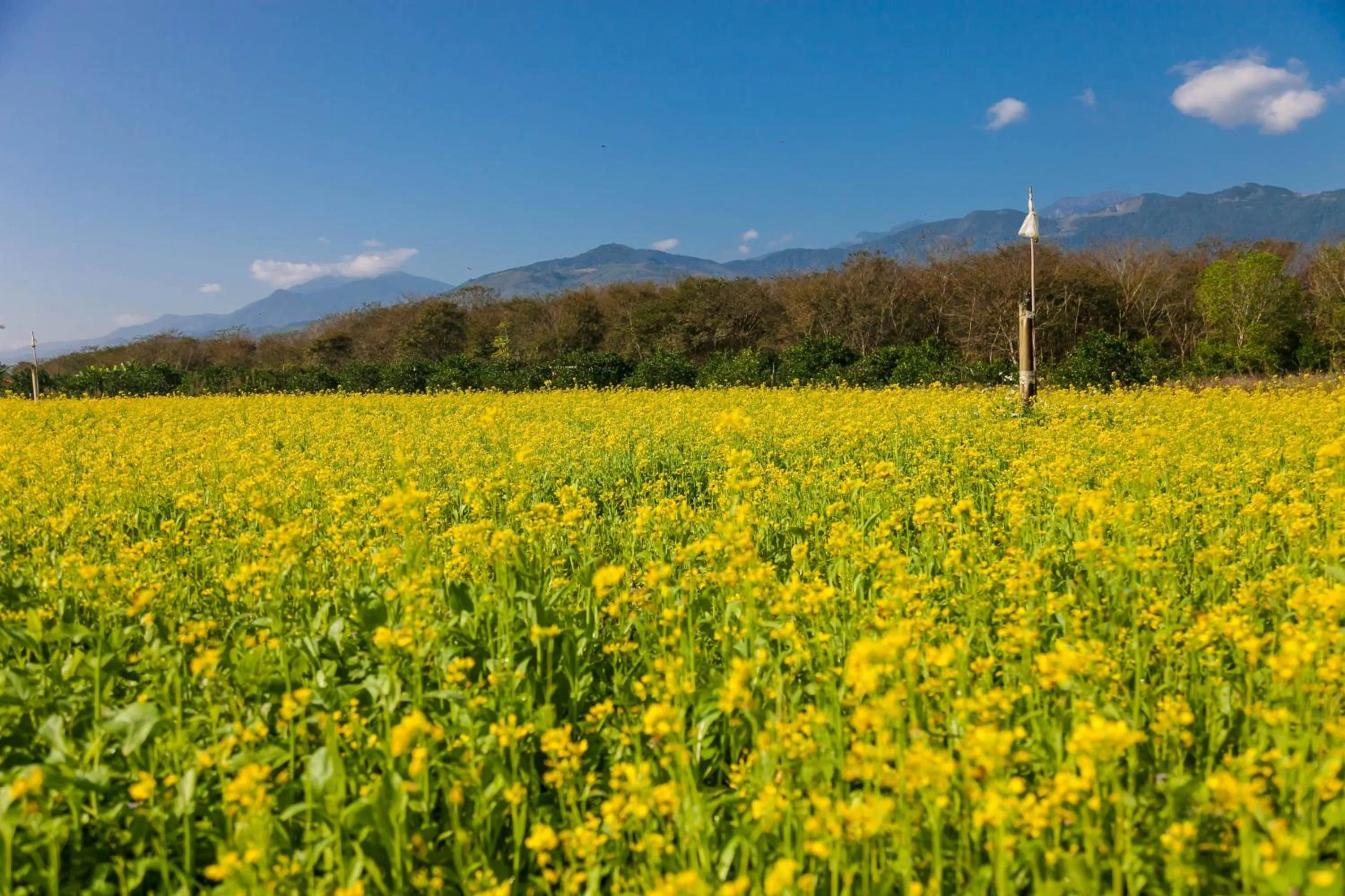 Natural landscape in Countryside B&B