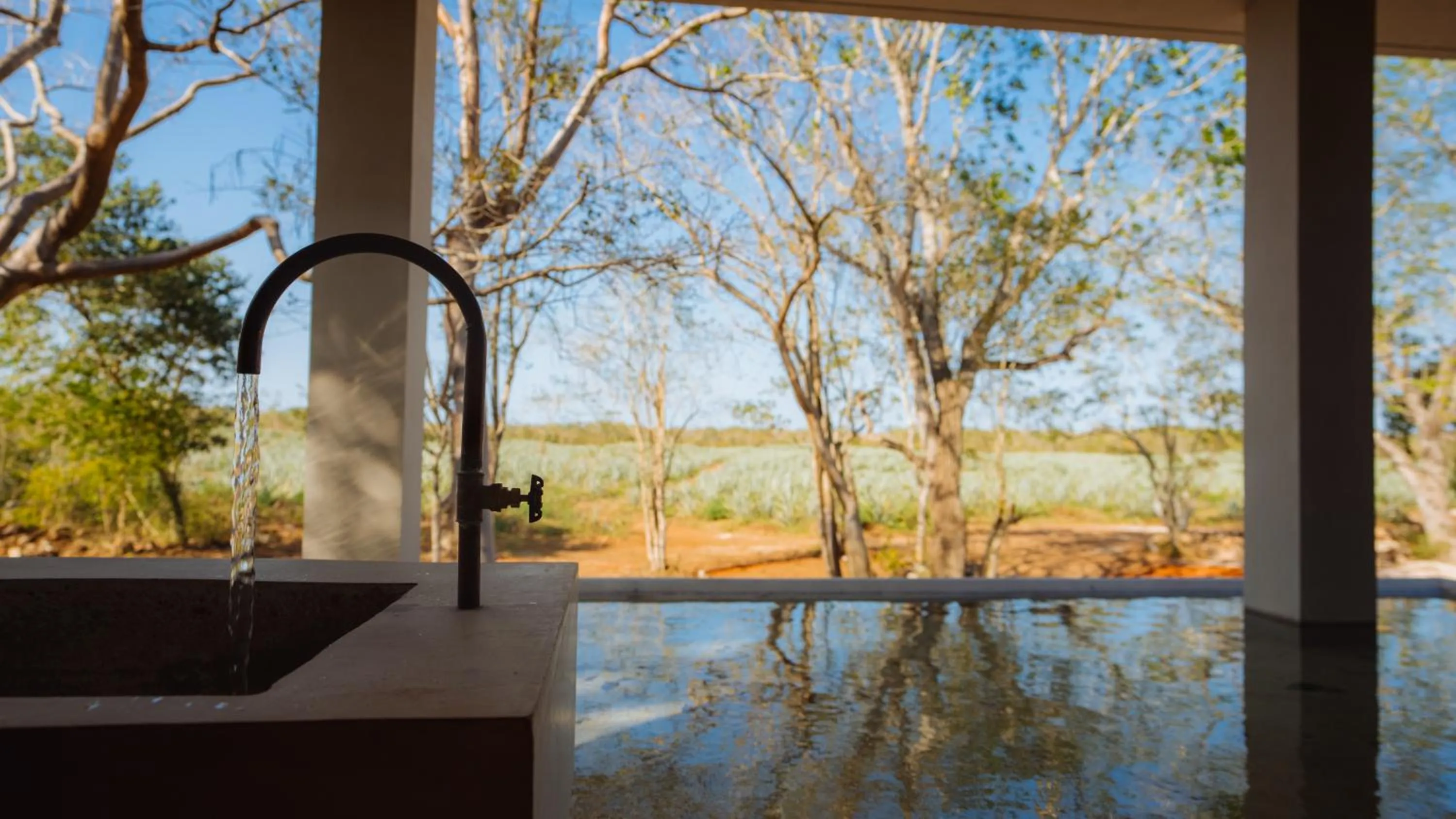 Natural landscape in Viatura Hacienda Xtojil, Yucatan, Merida, with Optional All Inclusive