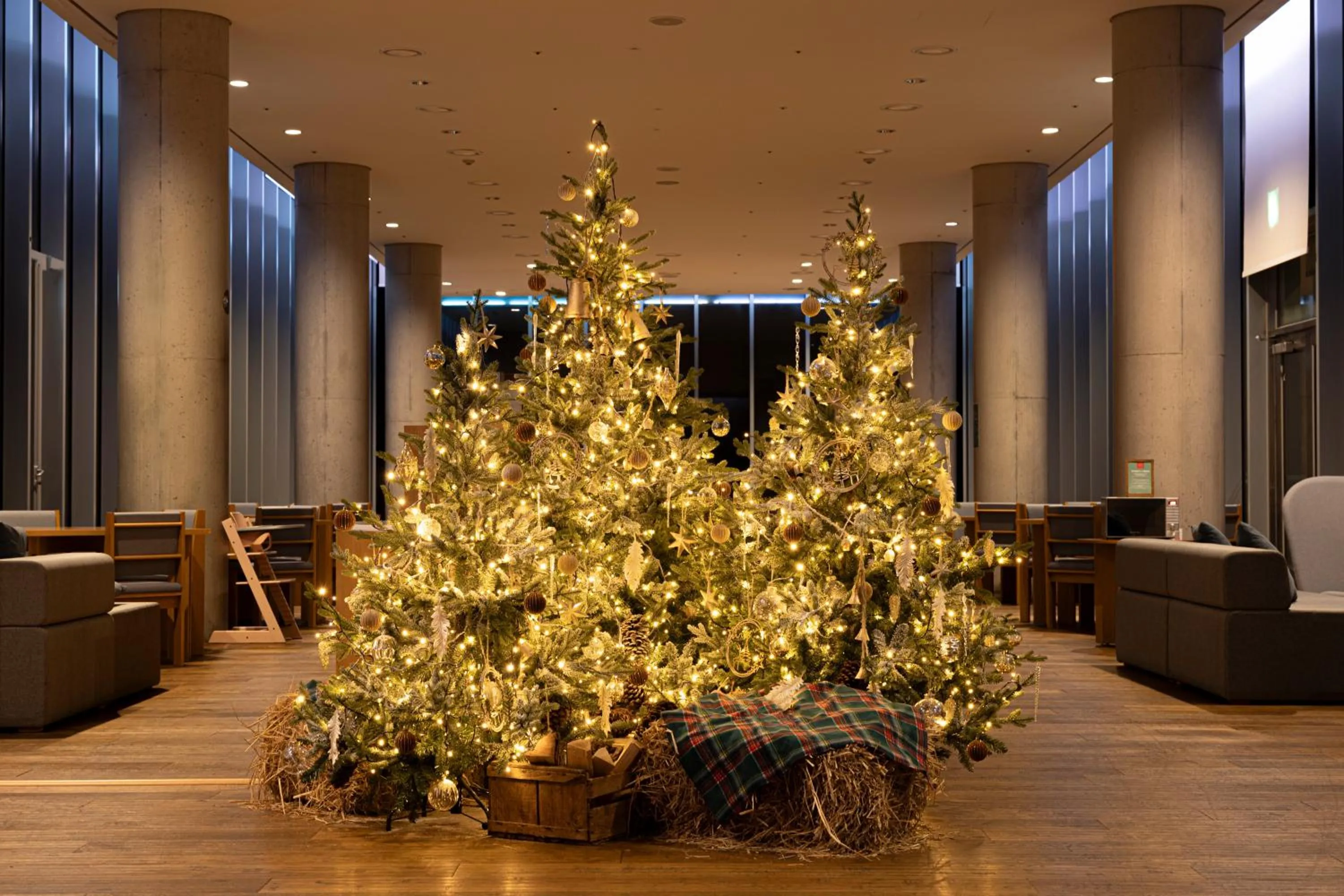 Restaurant/places to eat in Phoenix Island