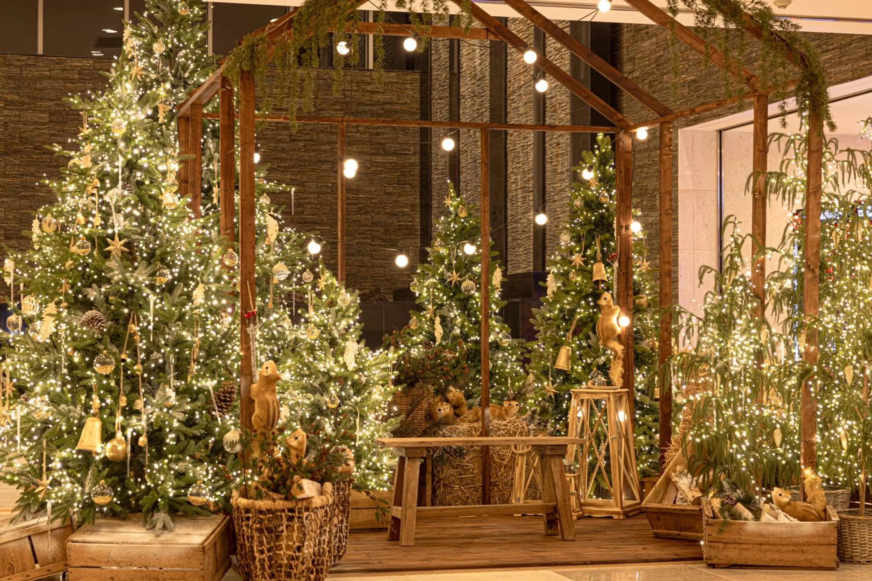 Lobby or reception in Phoenix Island