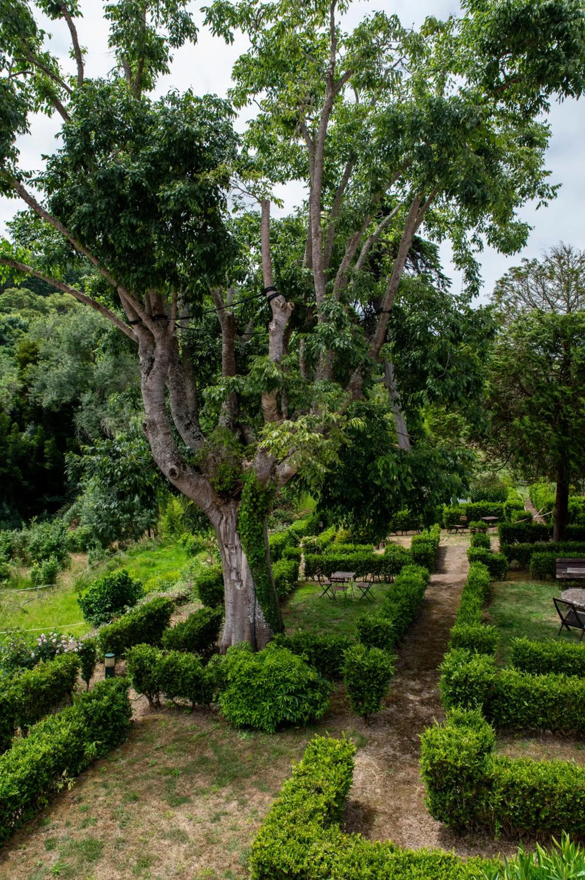 Balcony/Terrace in WOT Sarrazola Soul