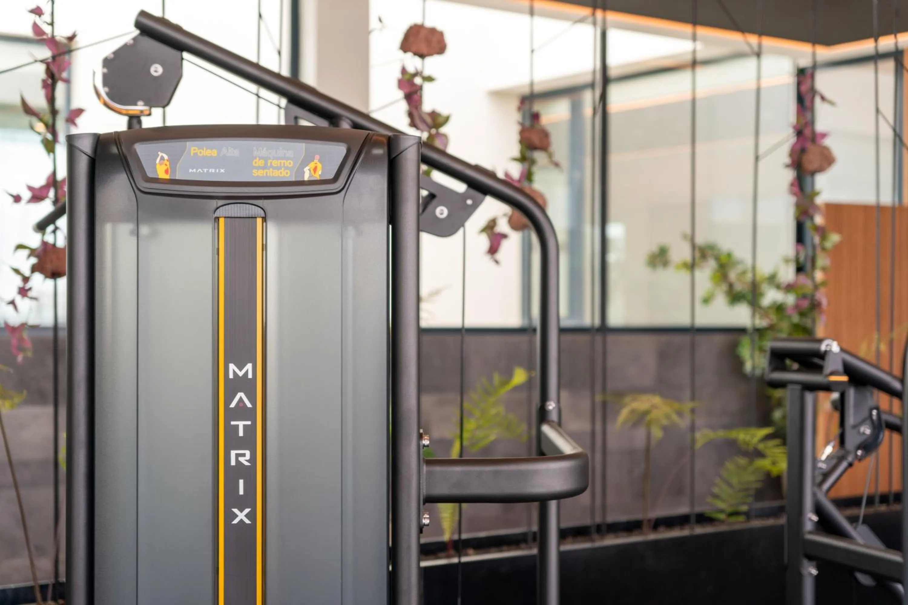 Fitness centre/facilities in Barceló Playa Blanca Royal Level - Adults Only