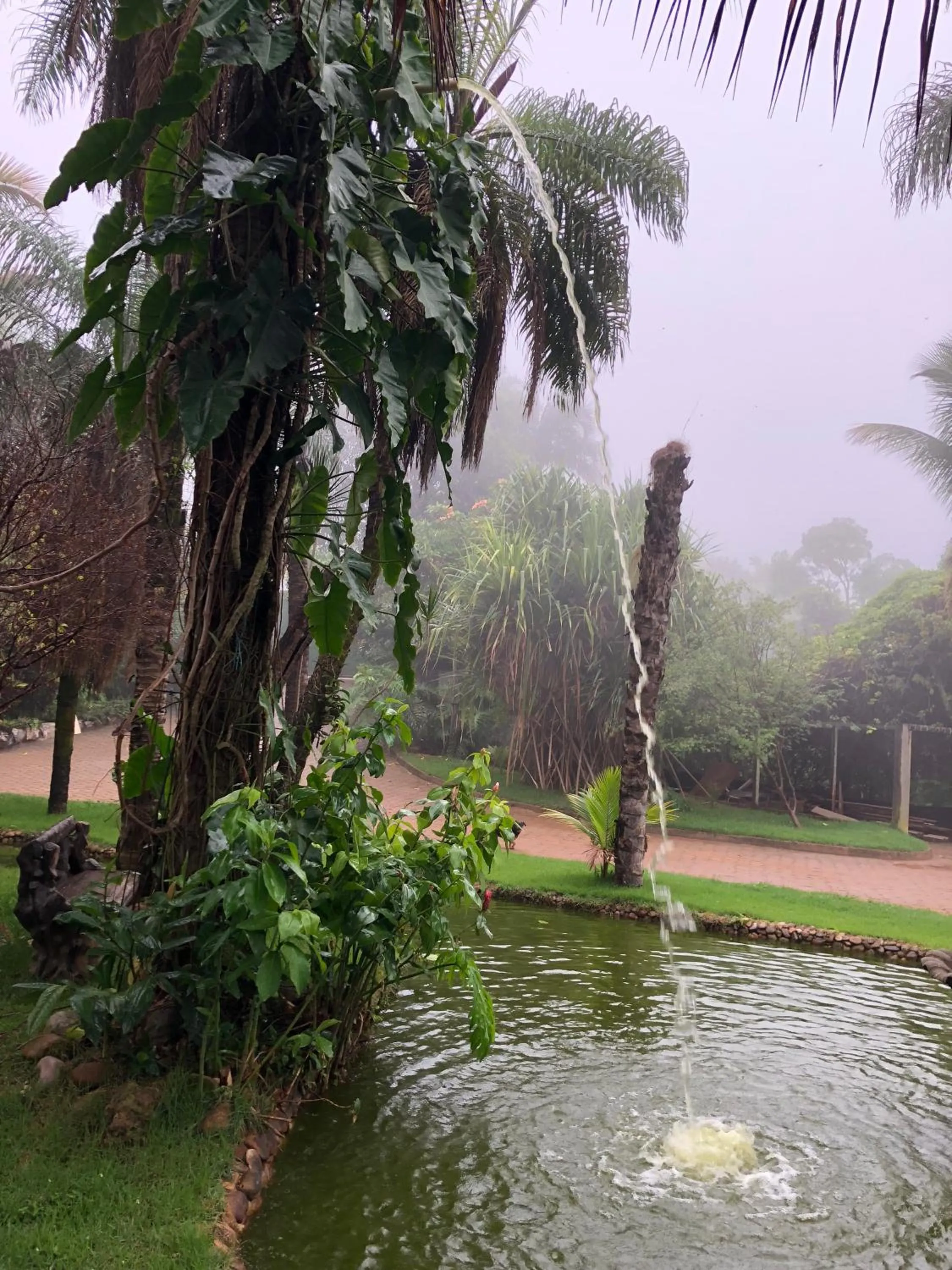 Garden in Mirante Pousada Boutique