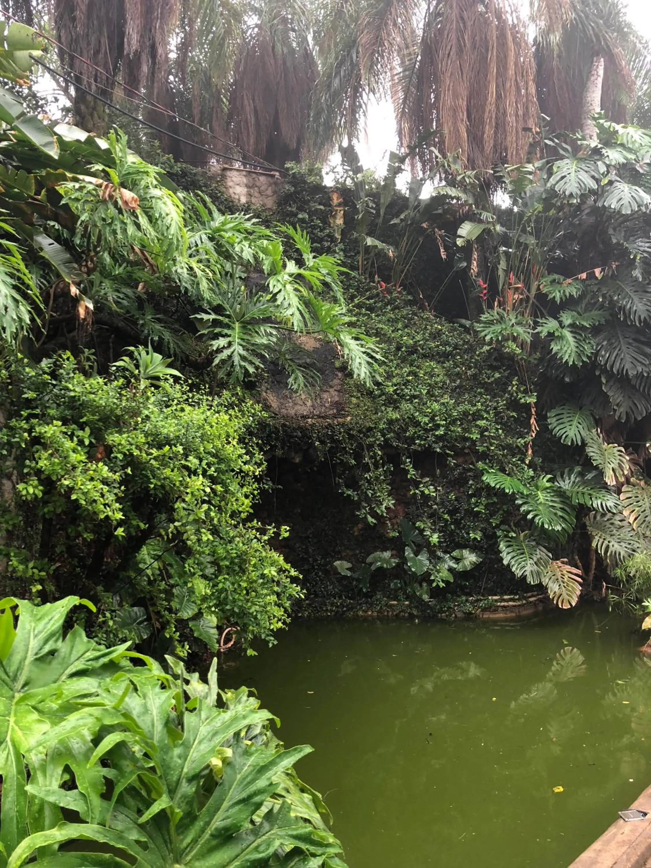 Garden in Mirante Pousada Boutique