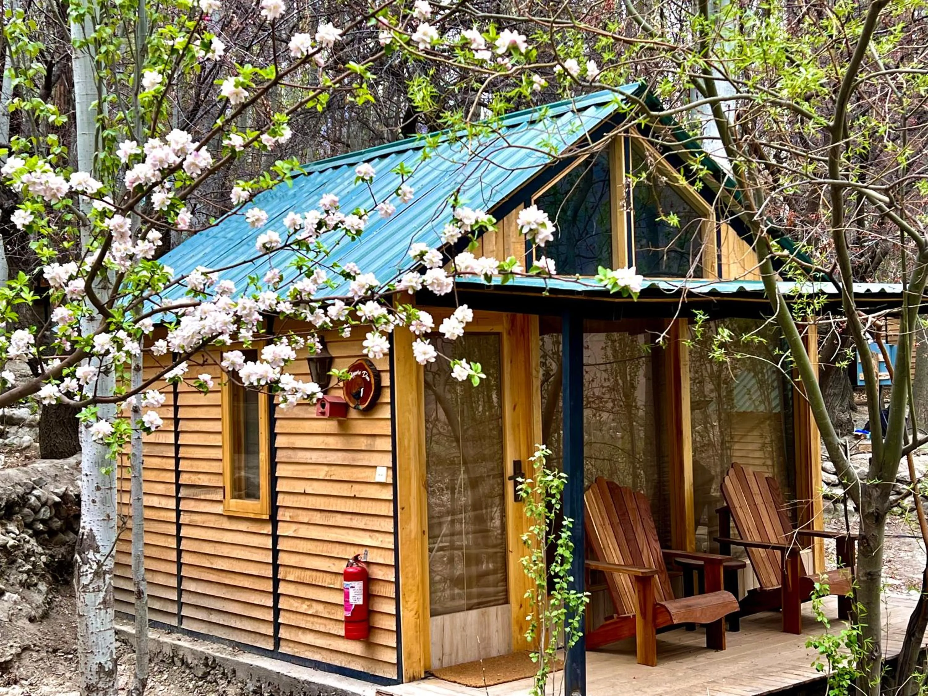 Garden view in The 2 Magpies, Hunza