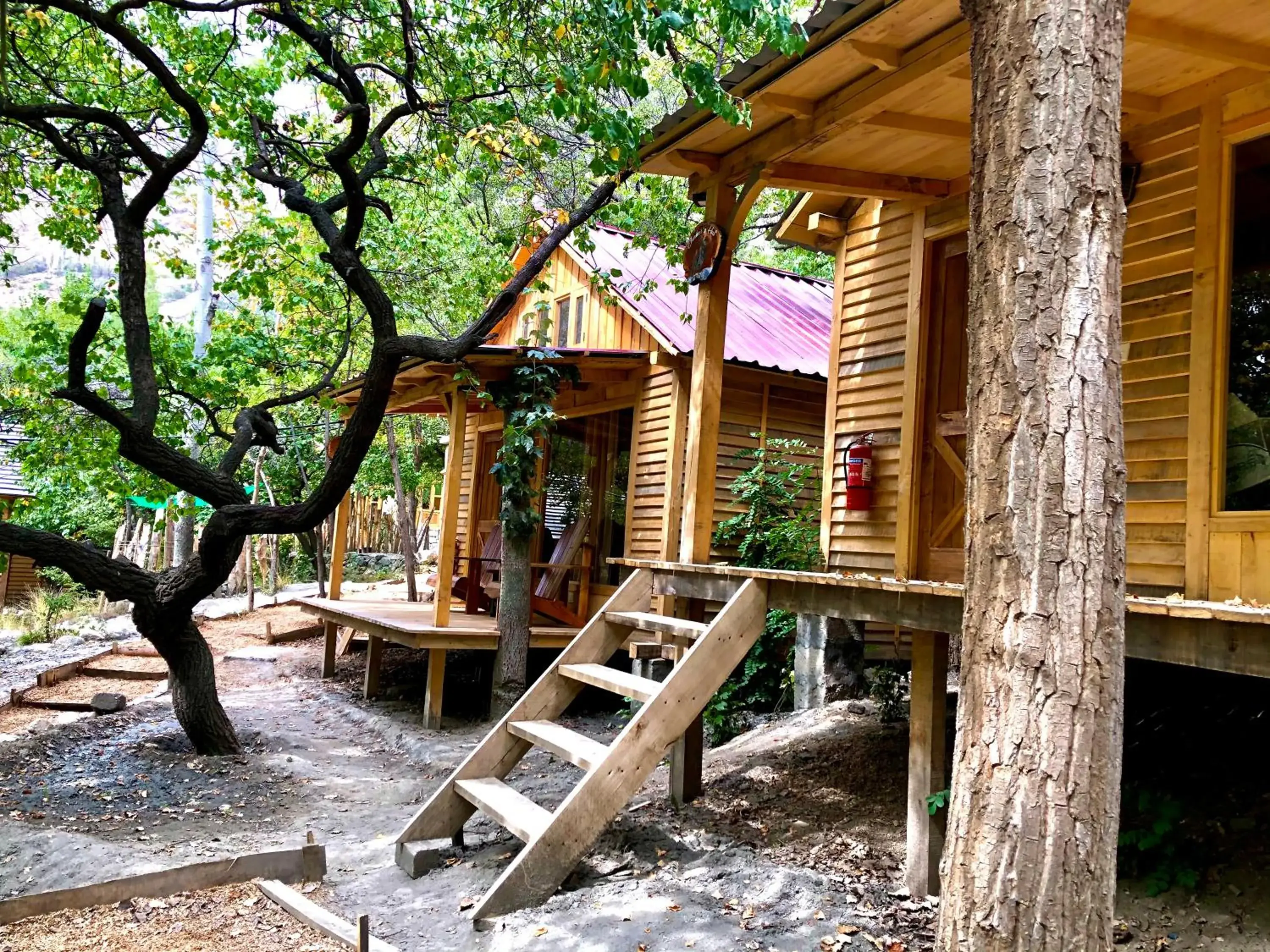 Double Room with Garden View in The 2 Magpies, Hunza Double Room with Garden View in The 2 Magpies, Hunza