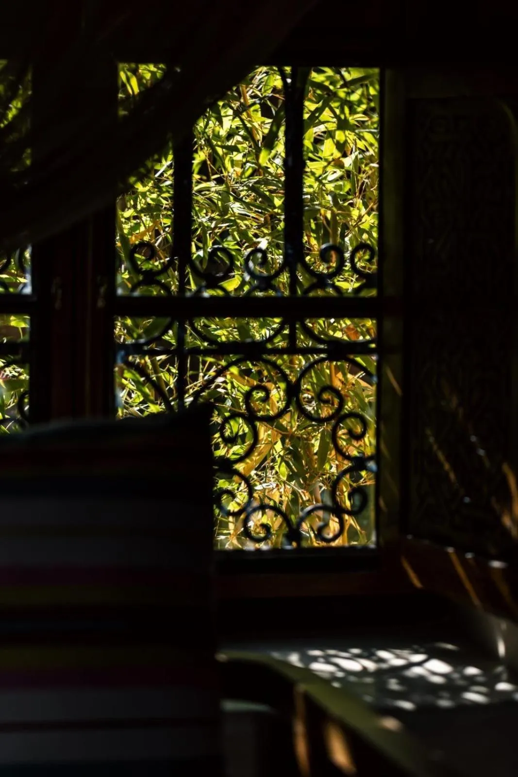 Natural landscape in Le Palais Averroes - Adults Only