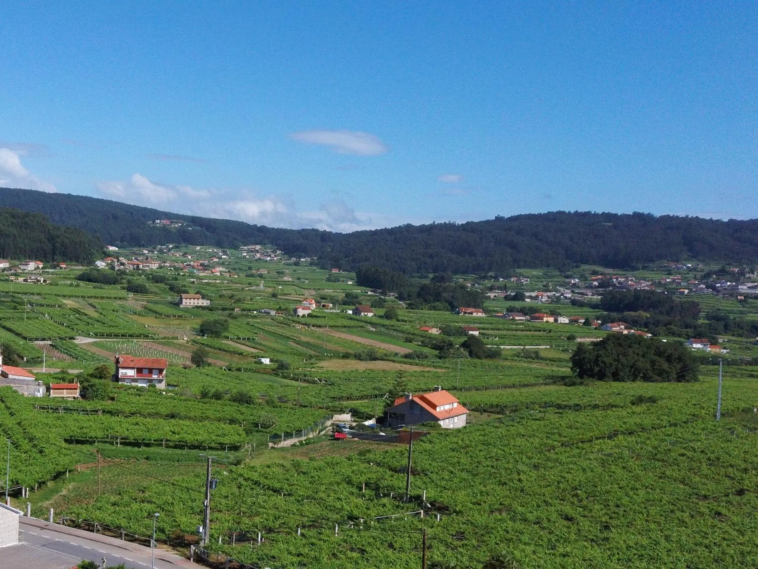 Natural landscape in O Lar de Pereiras