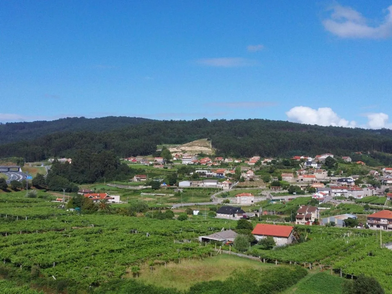Natural landscape in O Lar de Pereiras