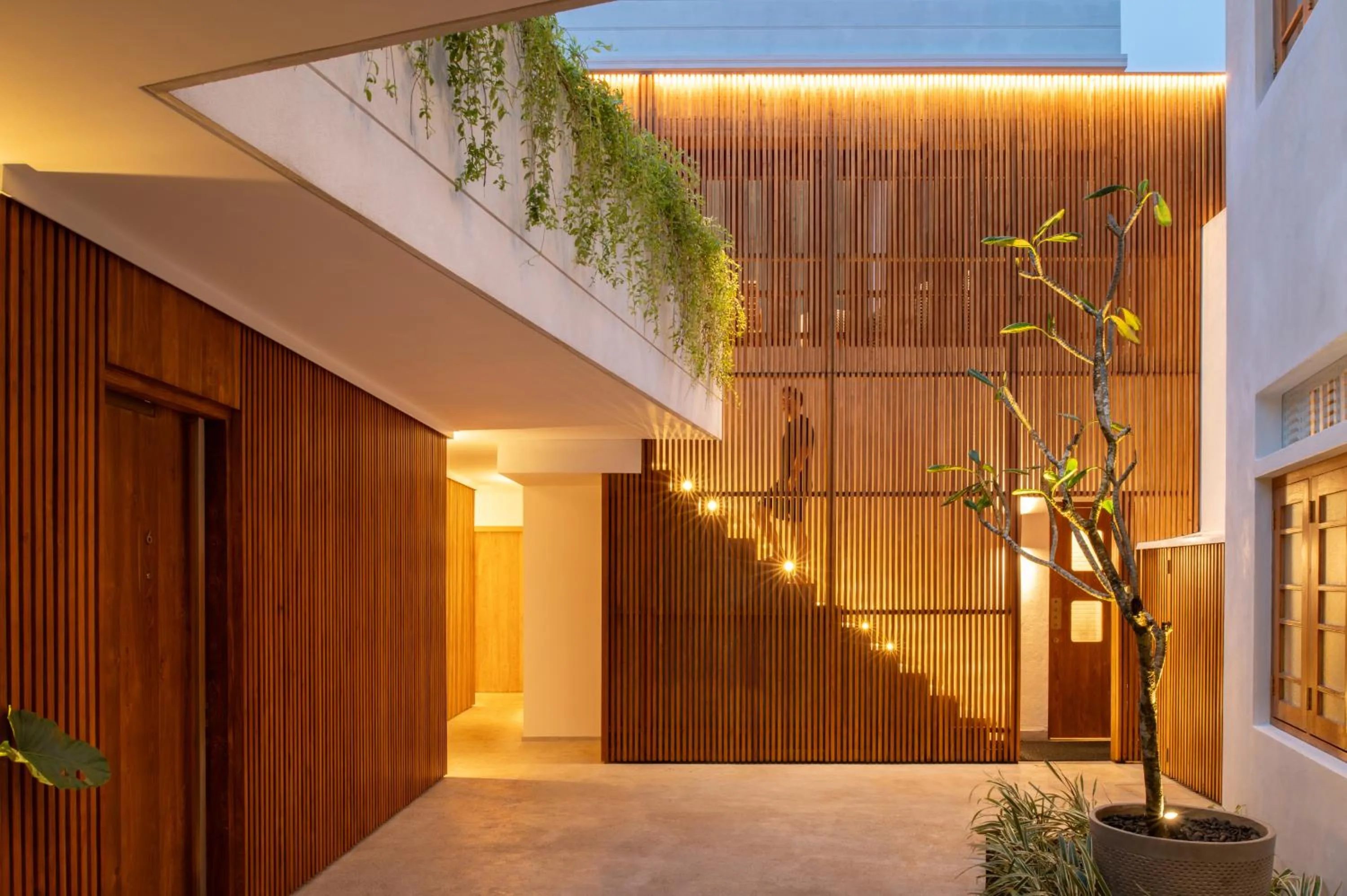 Property building in The Charleston