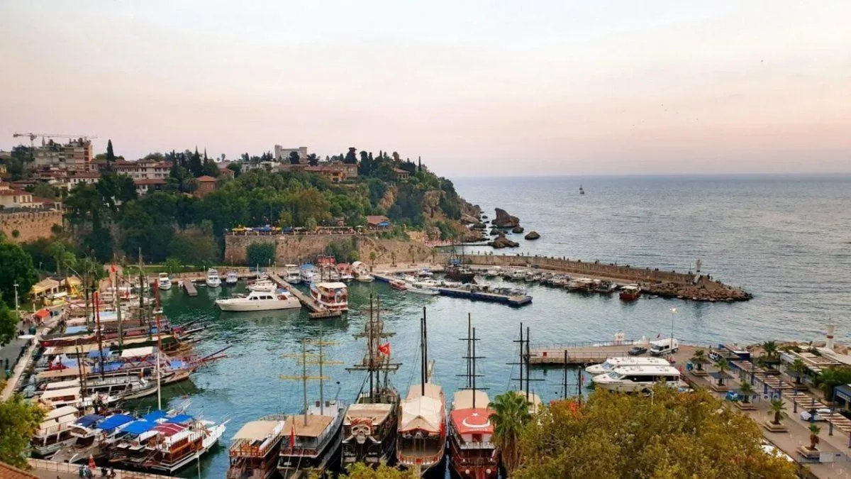 Natural landscape in LEGEND TULIP HOTEL