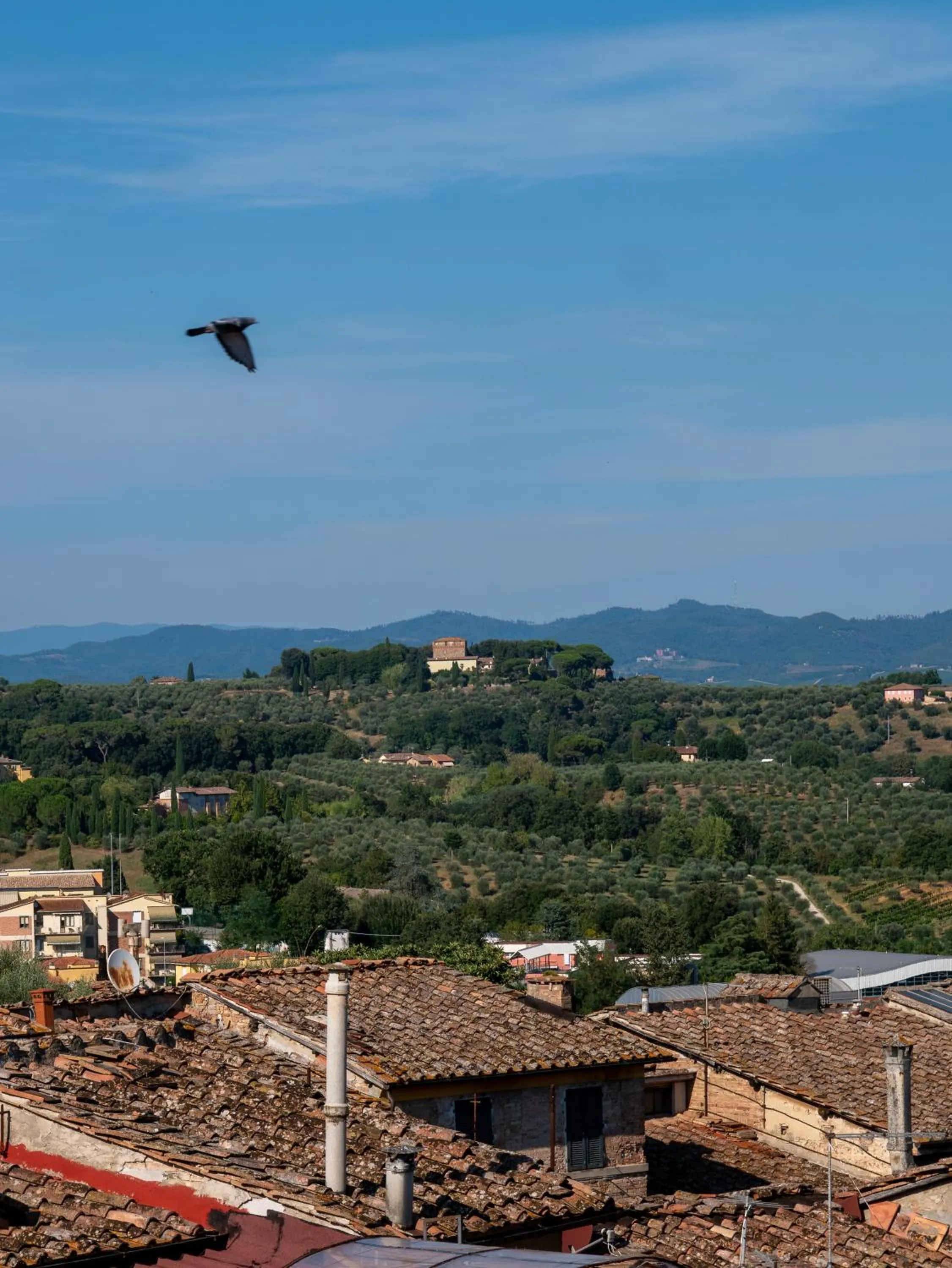 Day in Torre del Fuggisole