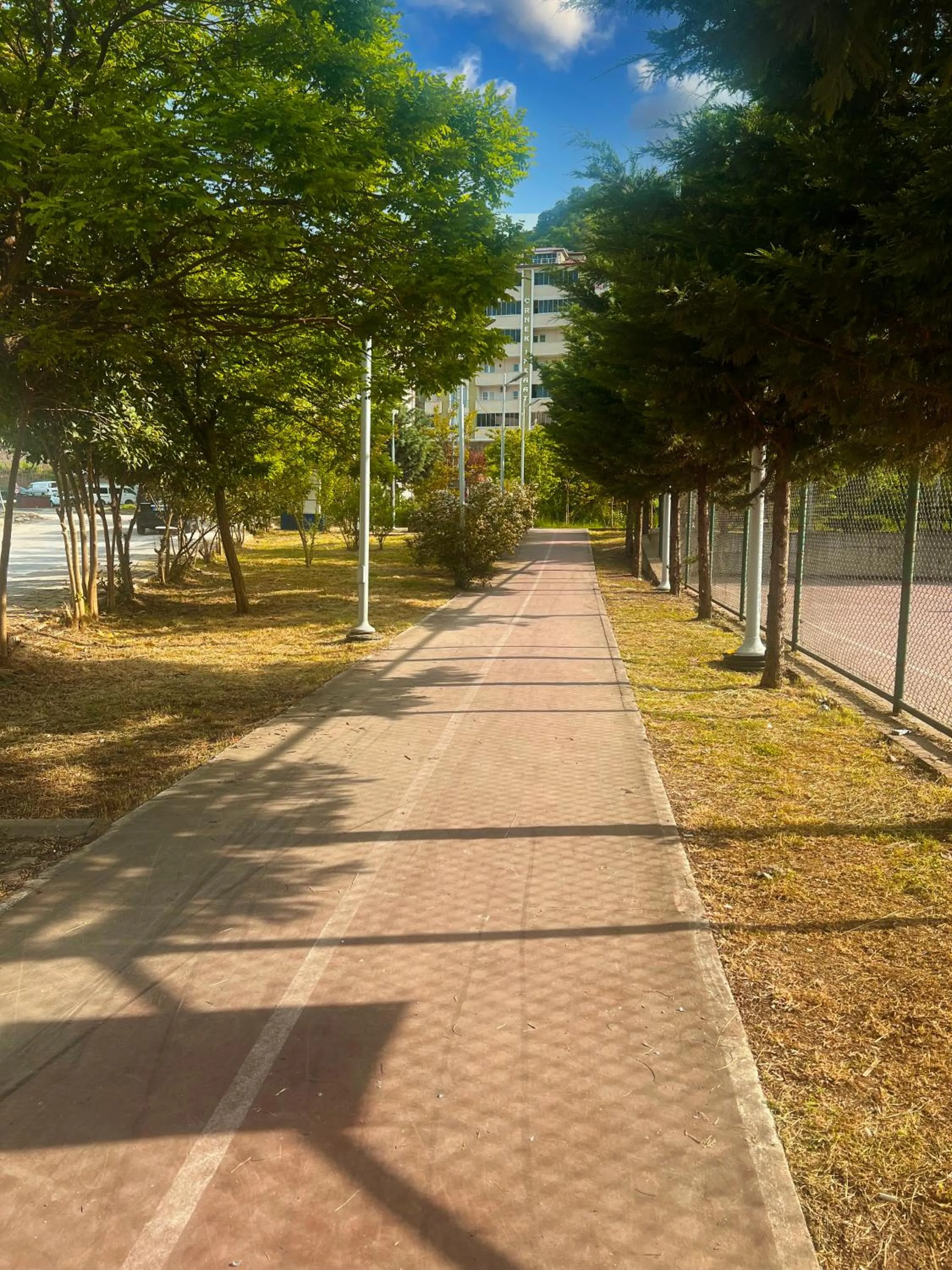 Neighbourhood in Seabird Suite Apart Hotel