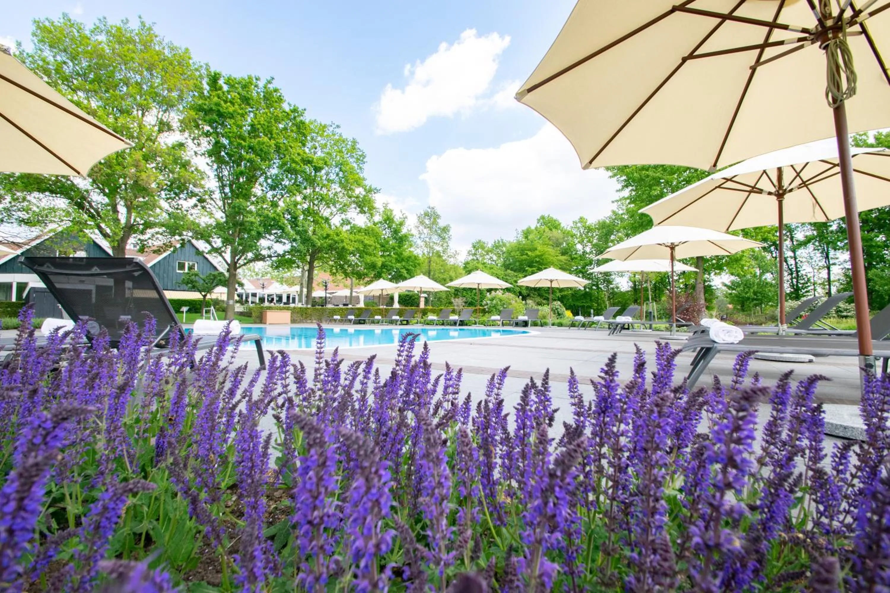 Spring in Fletcher Parkhotel De Wiemsel