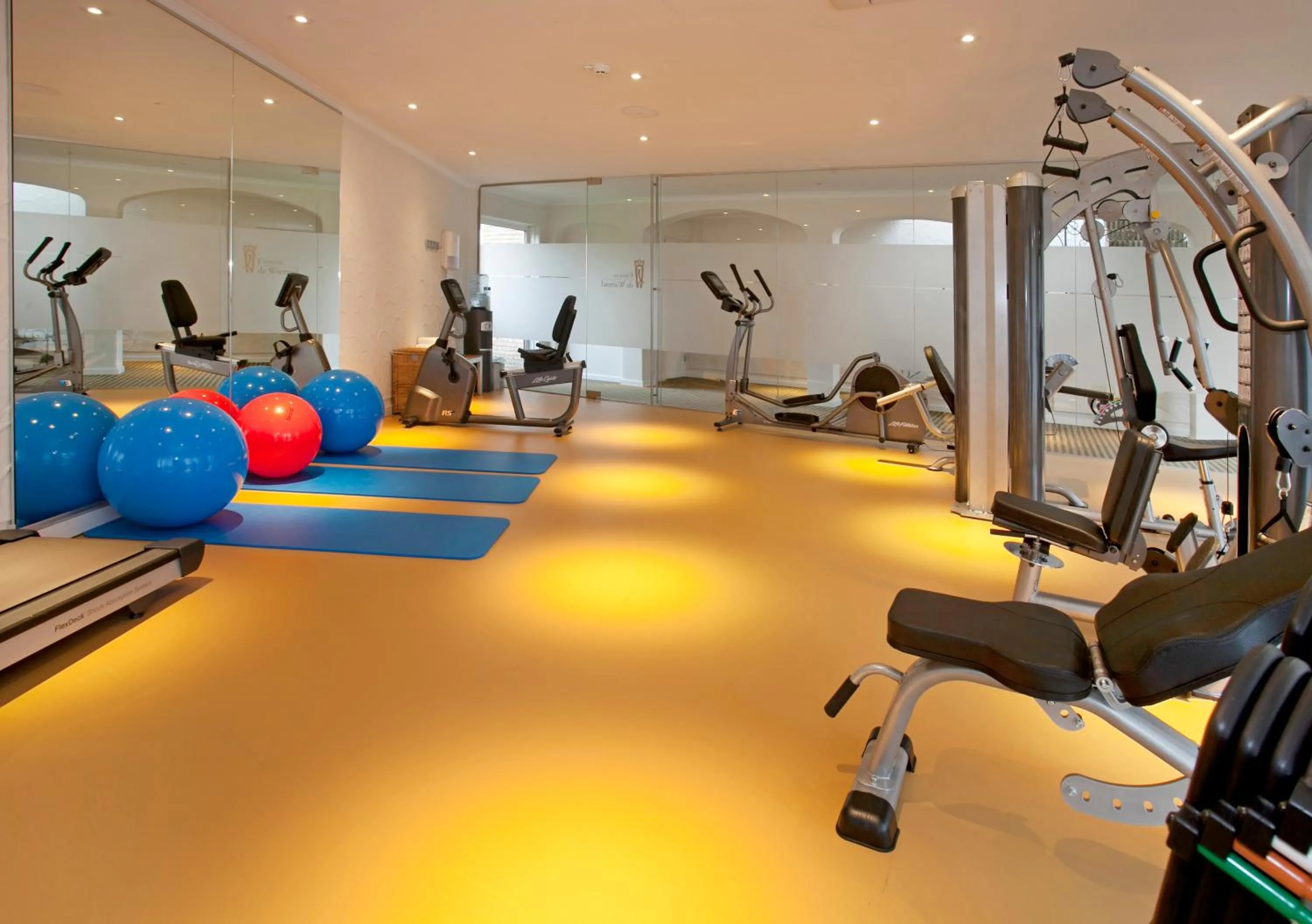 Fitness centre/facilities in Fletcher Parkhotel De Wiemsel