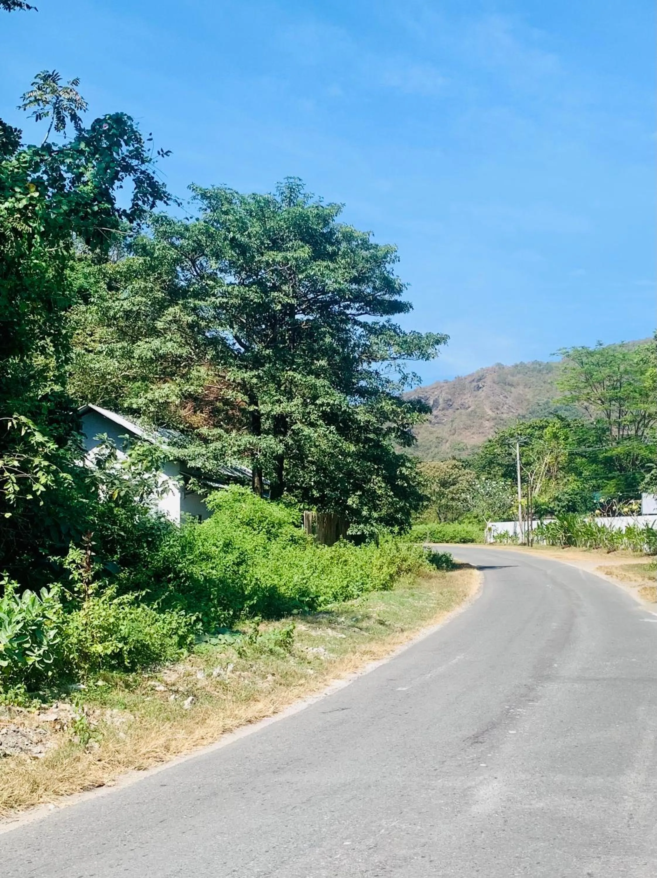 Street view in Balong Balong Surf Bungalows & Restaurant