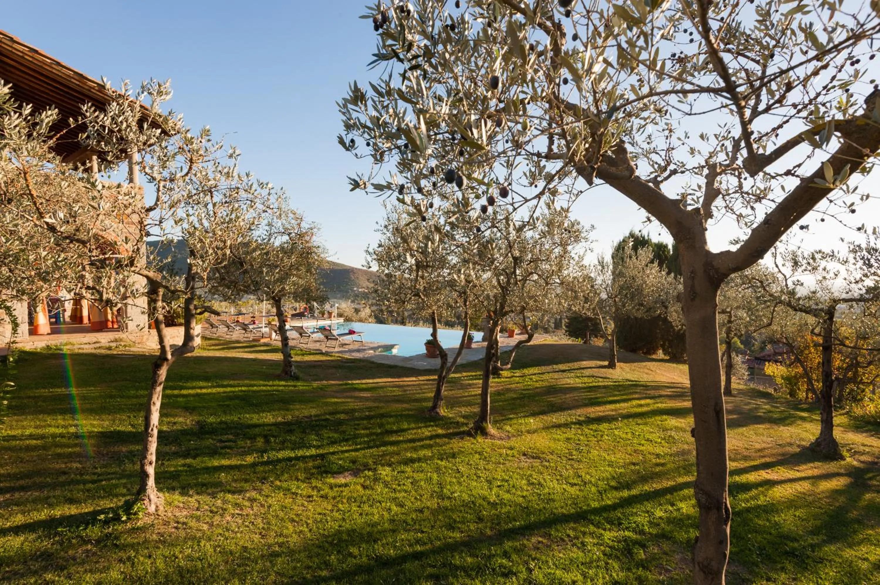 Garden in Villa Senaia