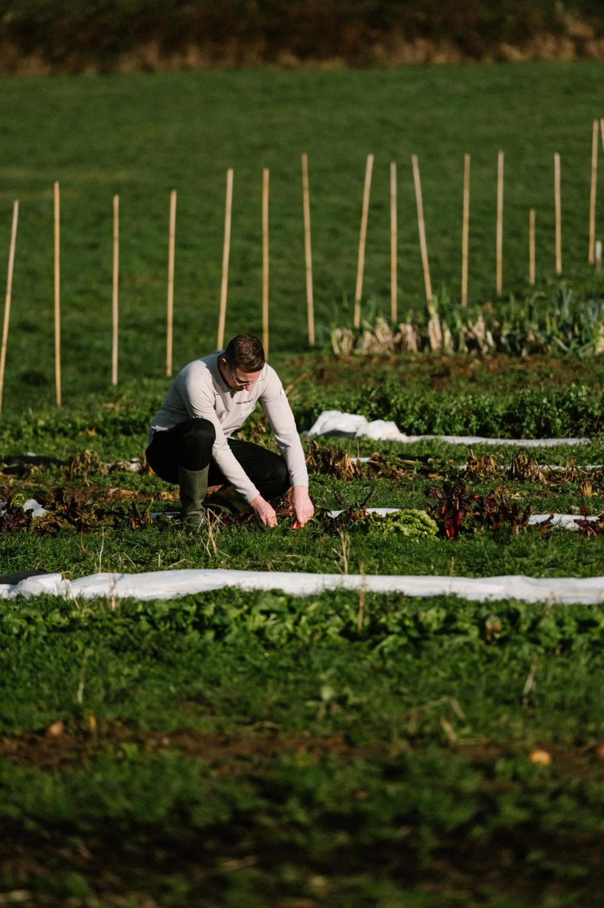 Garden in Château St Gerlach - Oostwegel Collection, member of Relais and Châteaux