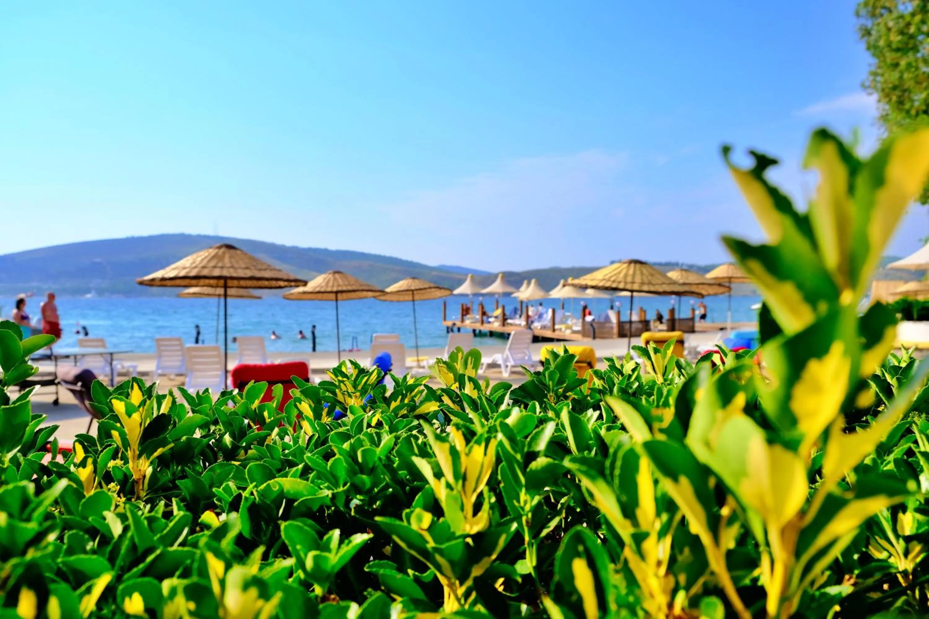 Beach in Oscar Seaside Hotel & Spa