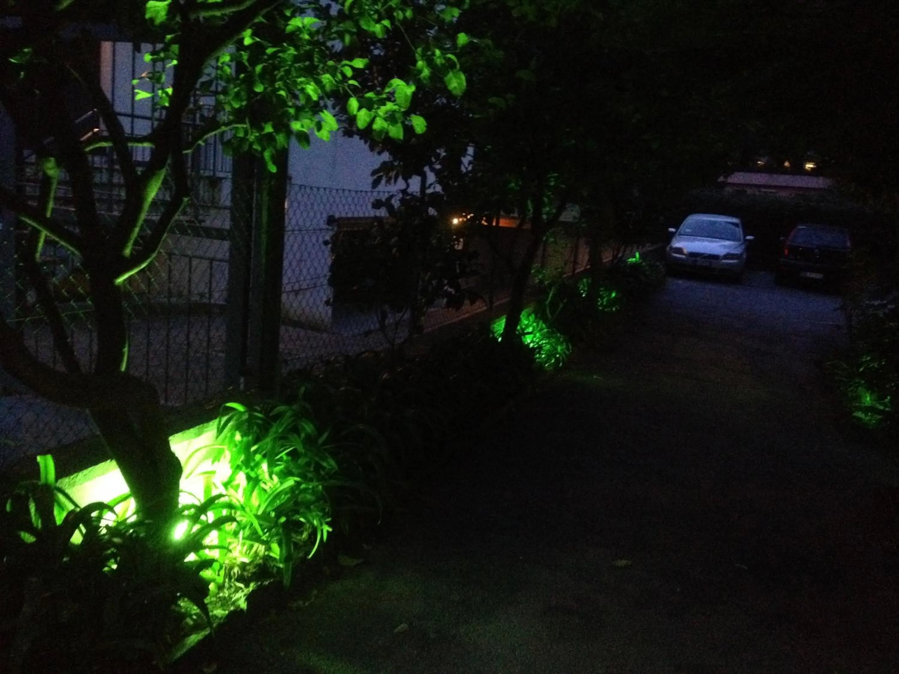 Garden view in Hotel Acqua Marina