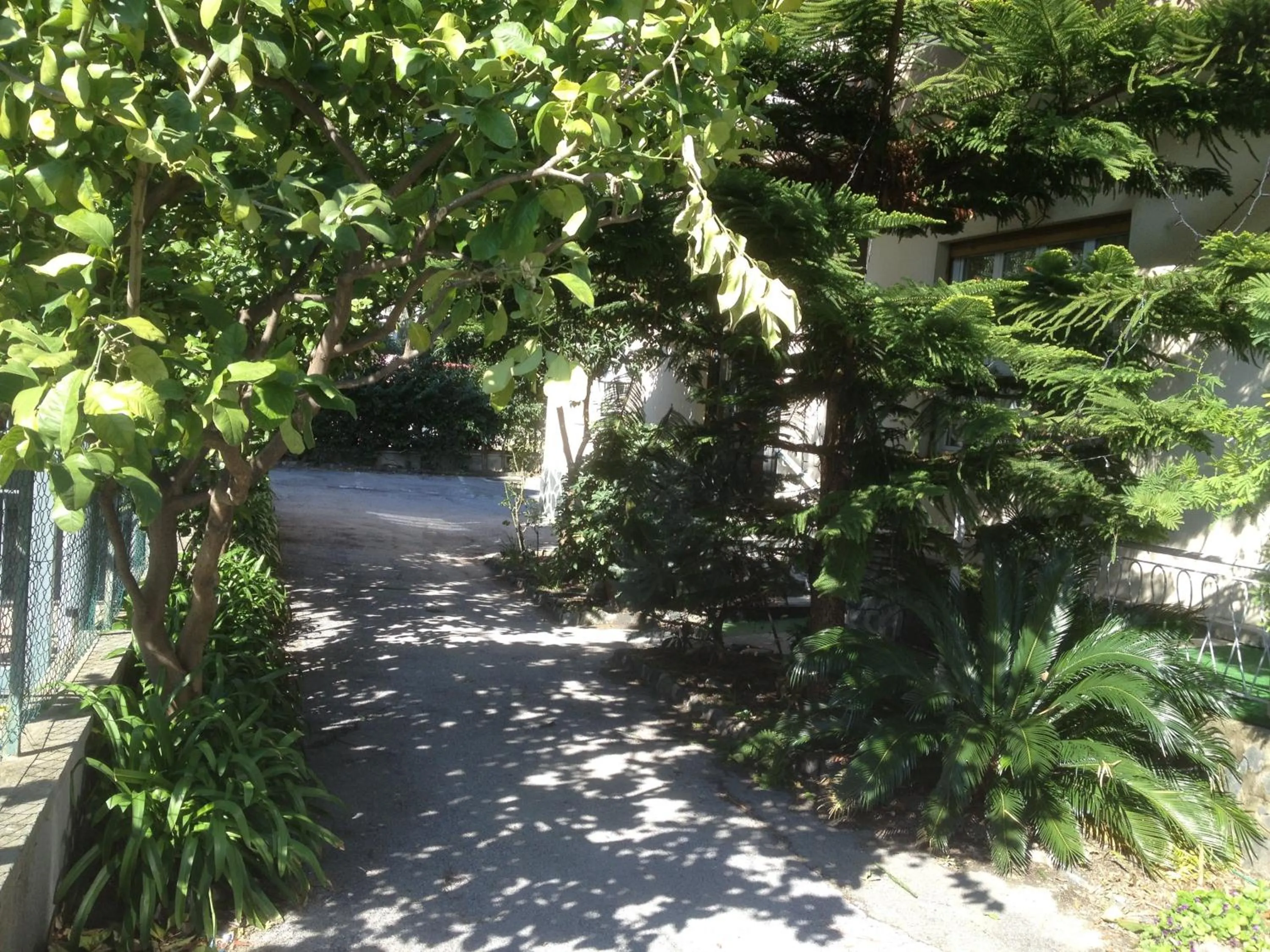 Garden in Hotel Acqua Marina