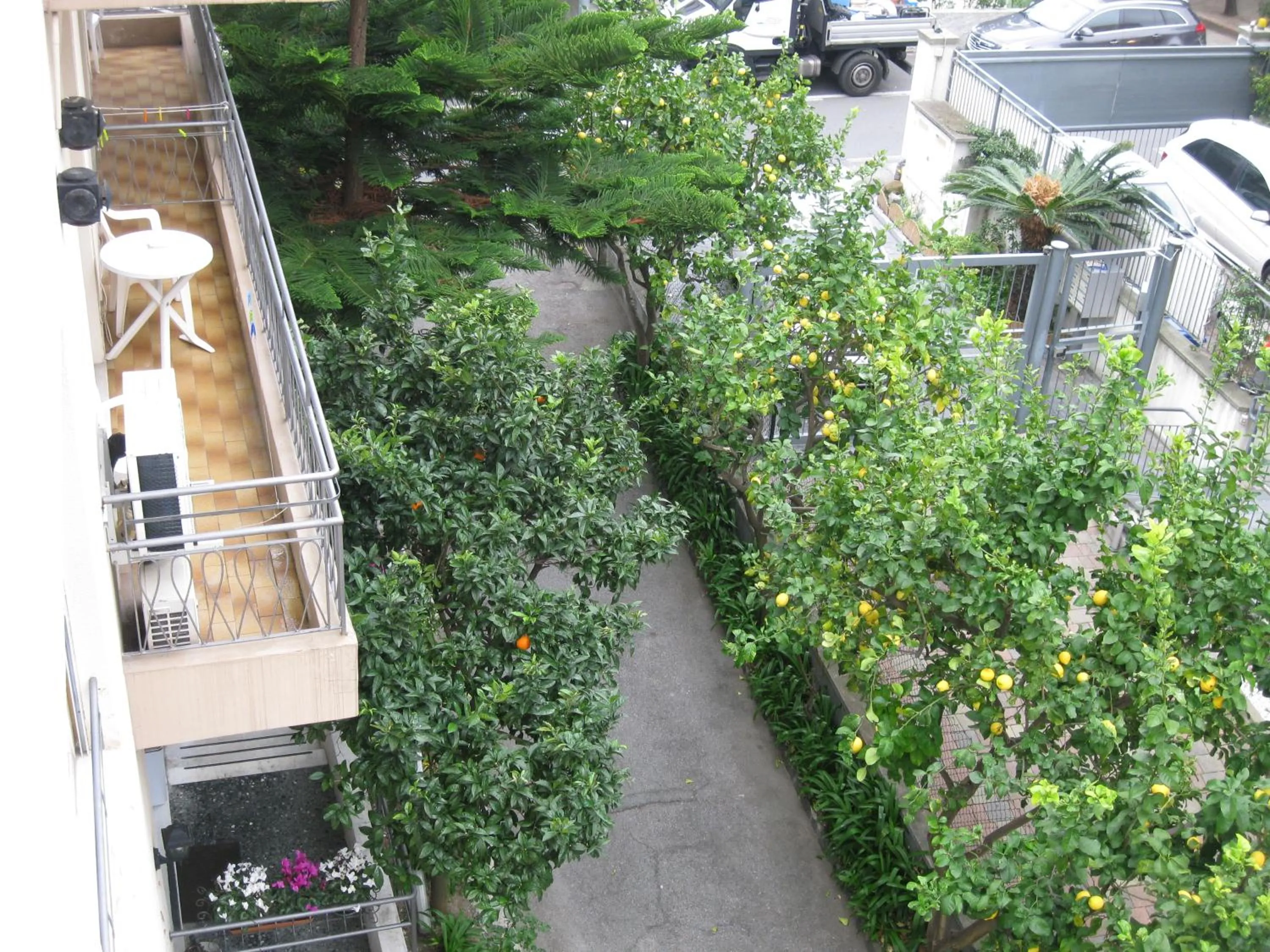 Garden view in Hotel Acqua Marina