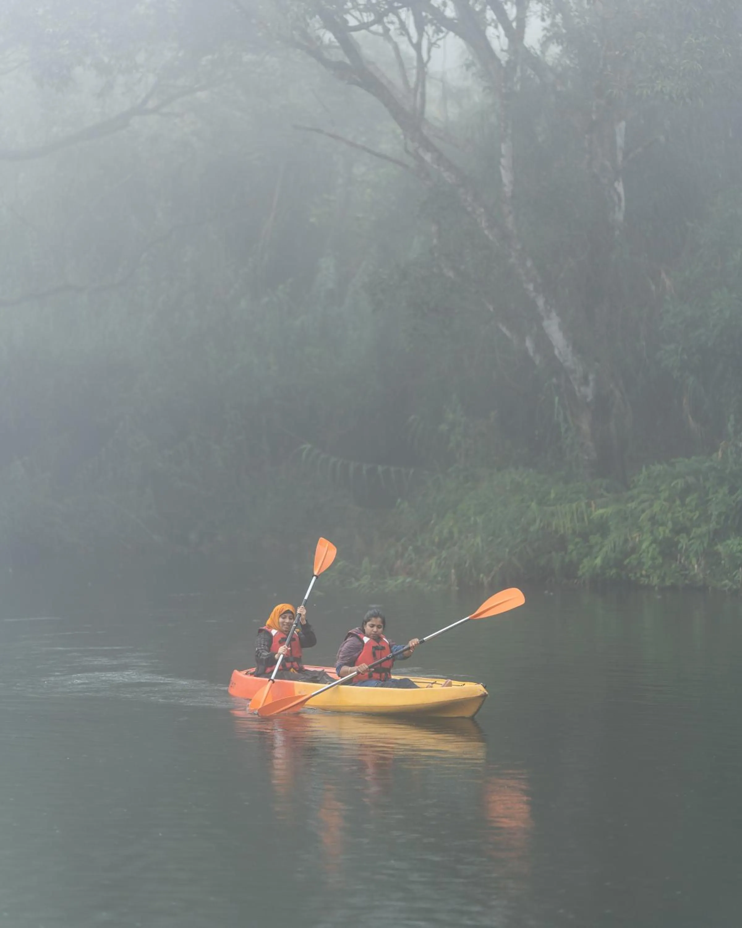 Activities in Misty Mountain Experience