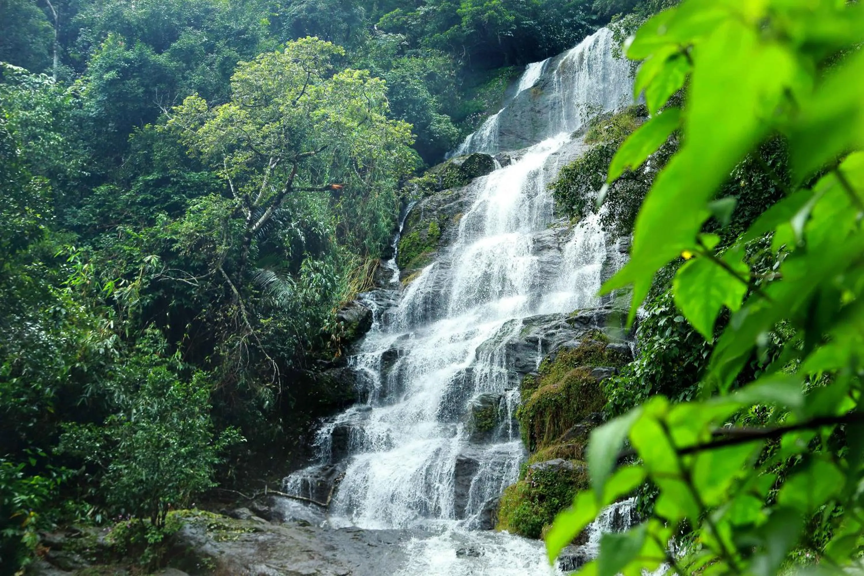 Natural landscape in Misty Mountain Experience