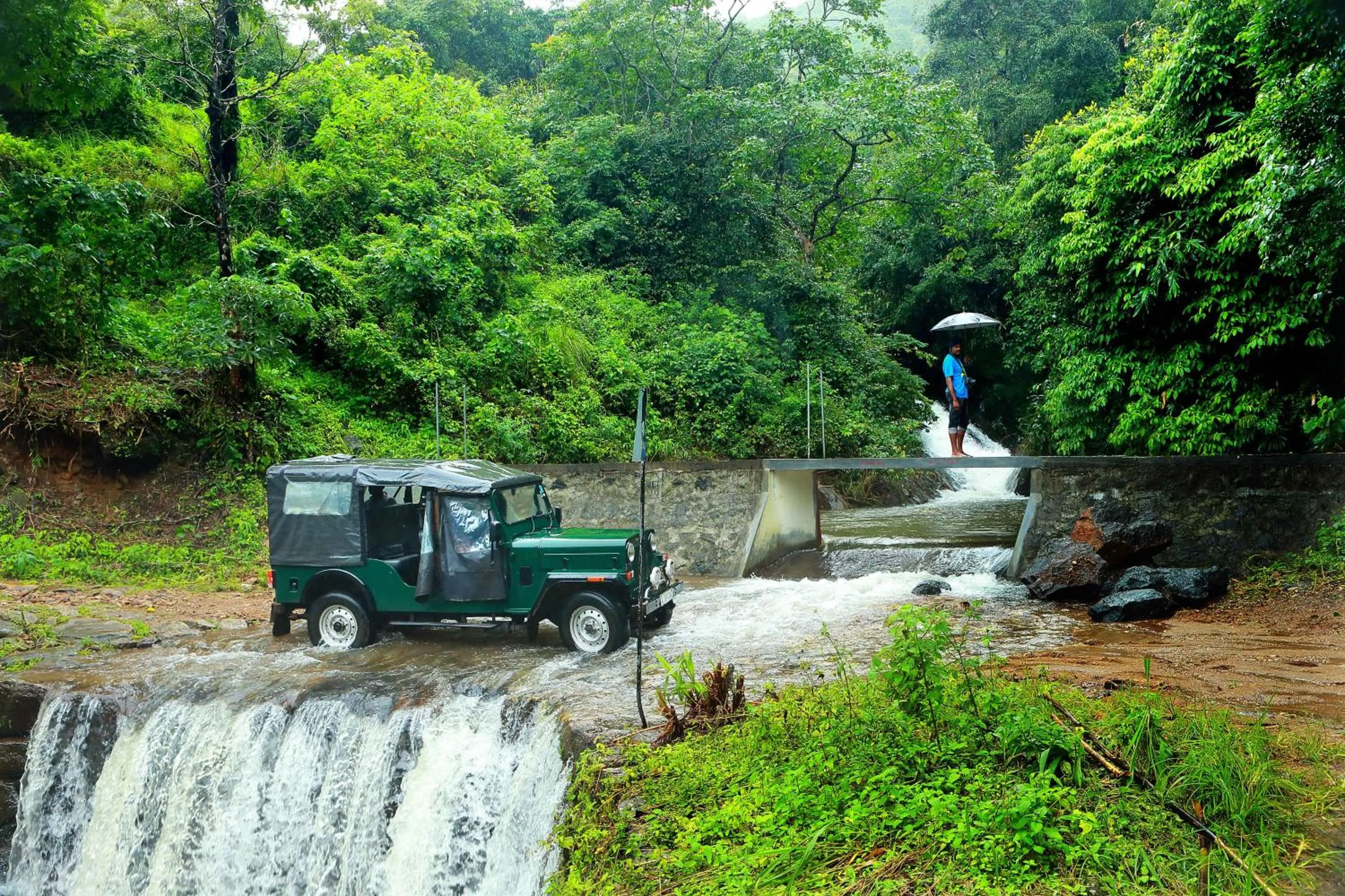 Activities in Misty Mountain Experience