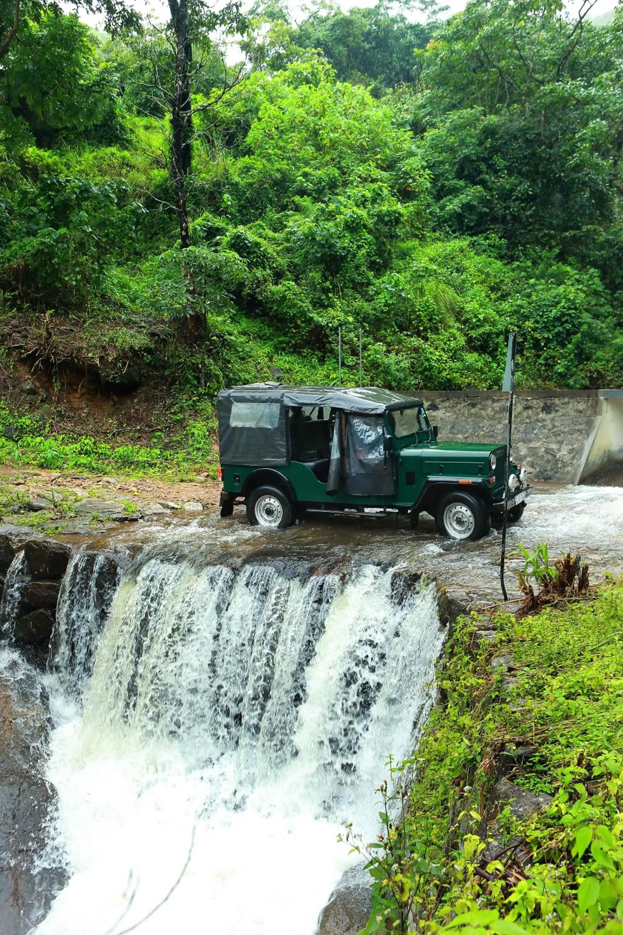 Natural landscape in Misty Mountain Experience