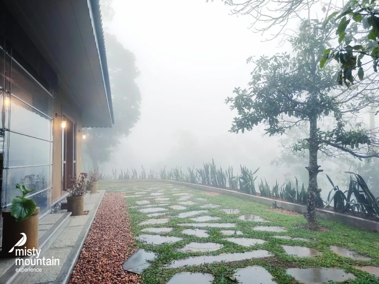 Garden in Misty Mountain Experience