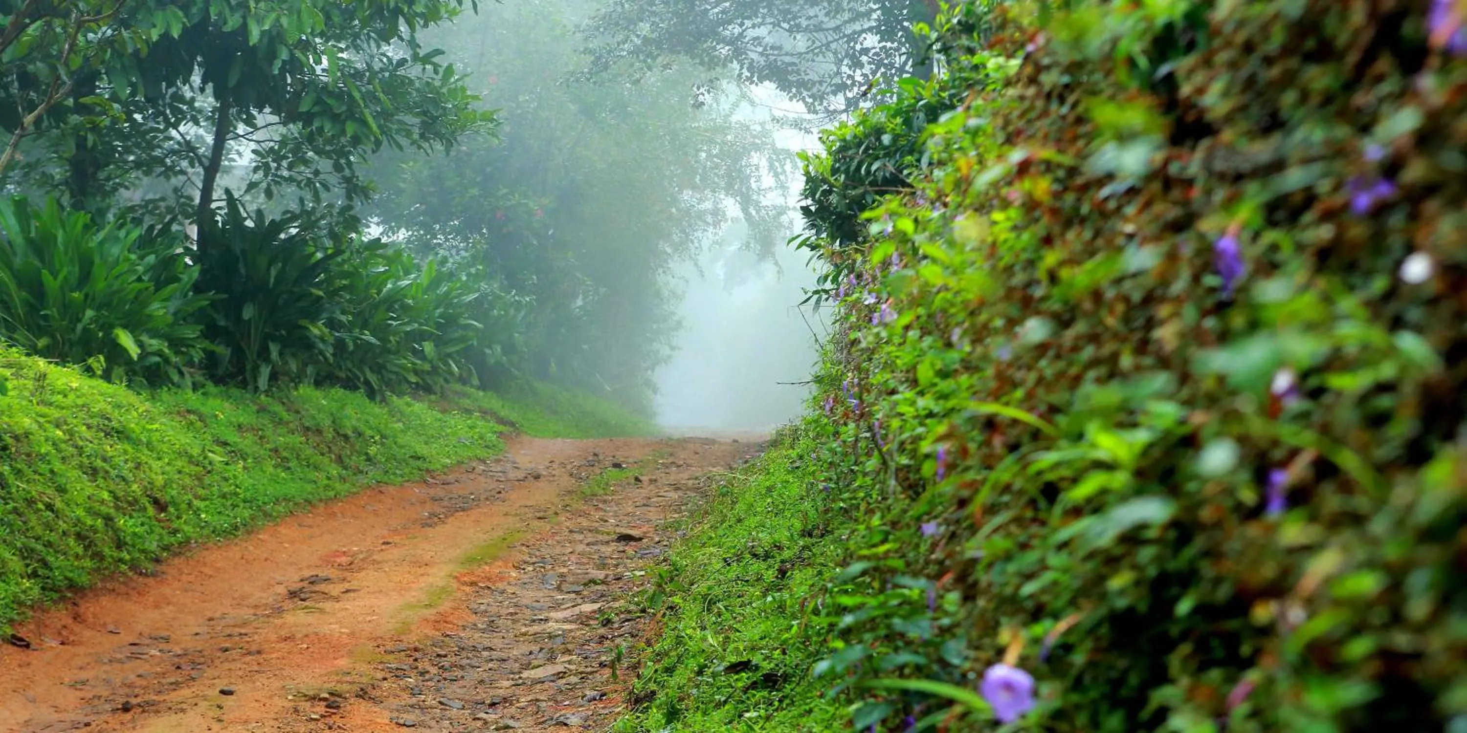 Natural landscape in Misty Mountain Experience