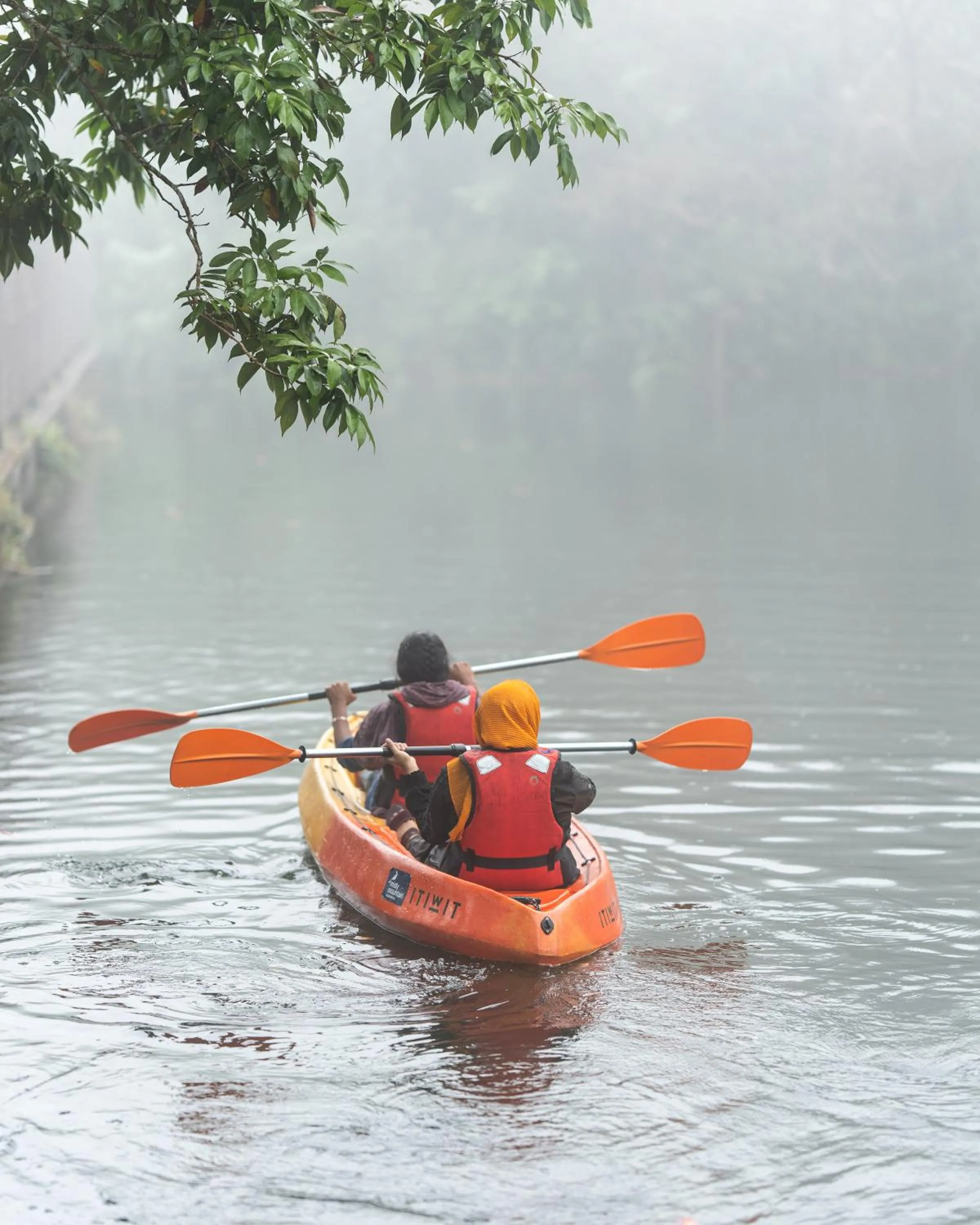 Activities in Misty Mountain Experience