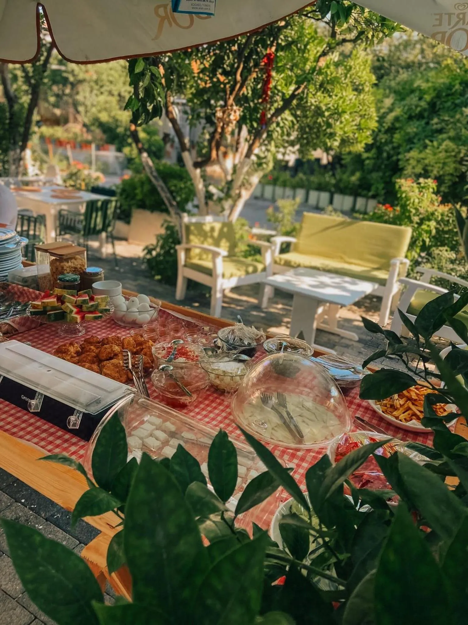 Restaurant/places to eat in La Sorella