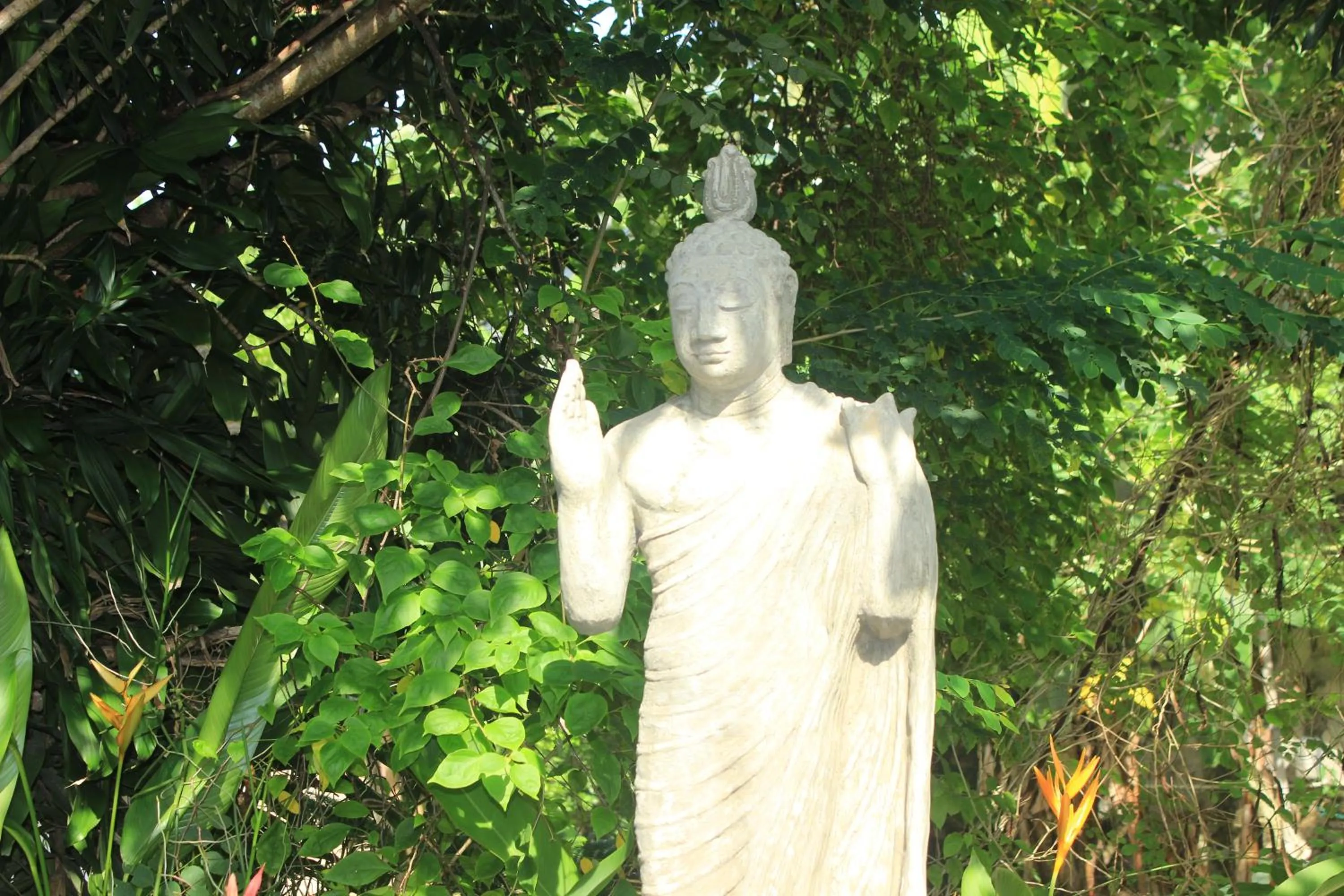 Other in Villa Escondite - The Hotel