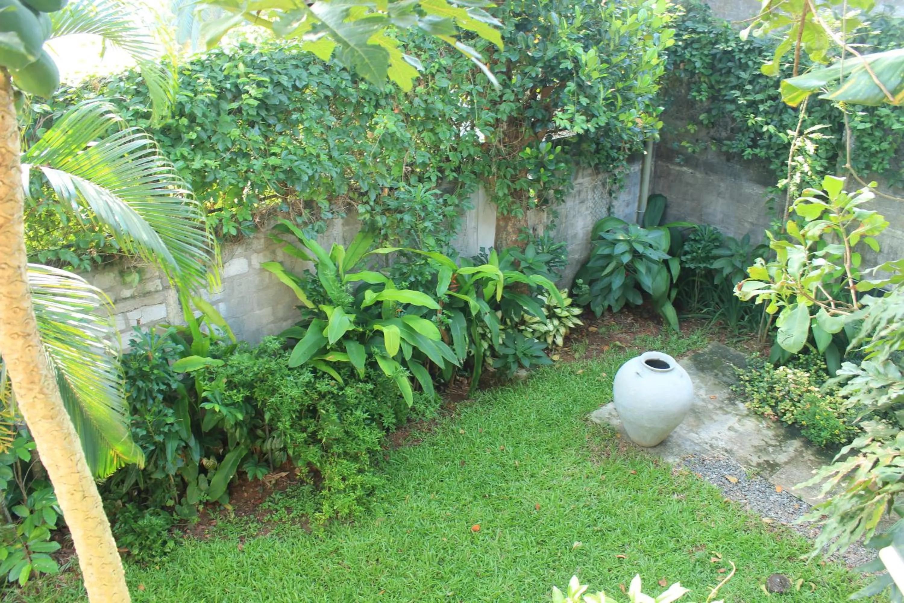 Garden in Villa Escondite - The Hotel