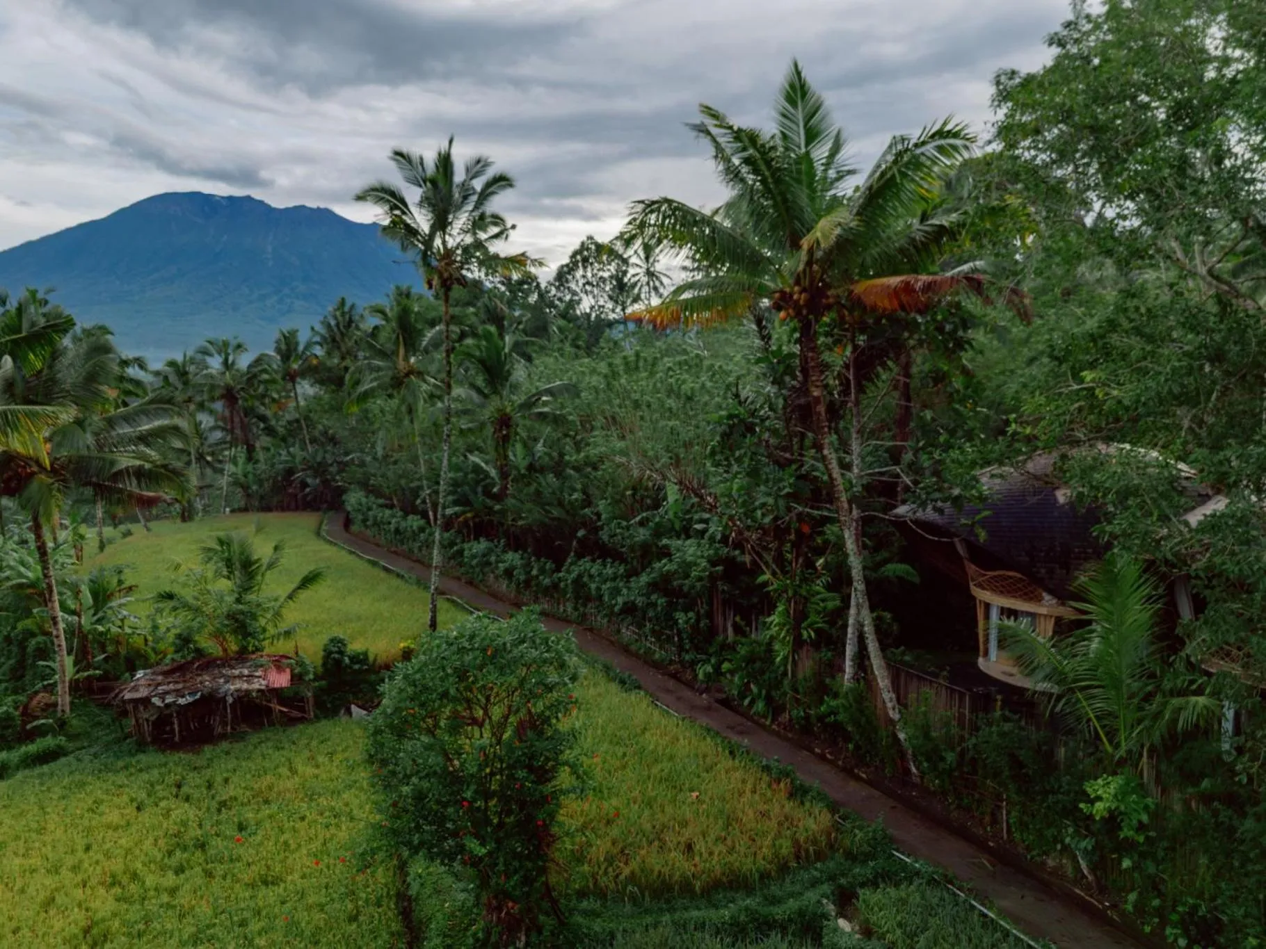 Mountain view in Hideout Eco Bamboo House Bali