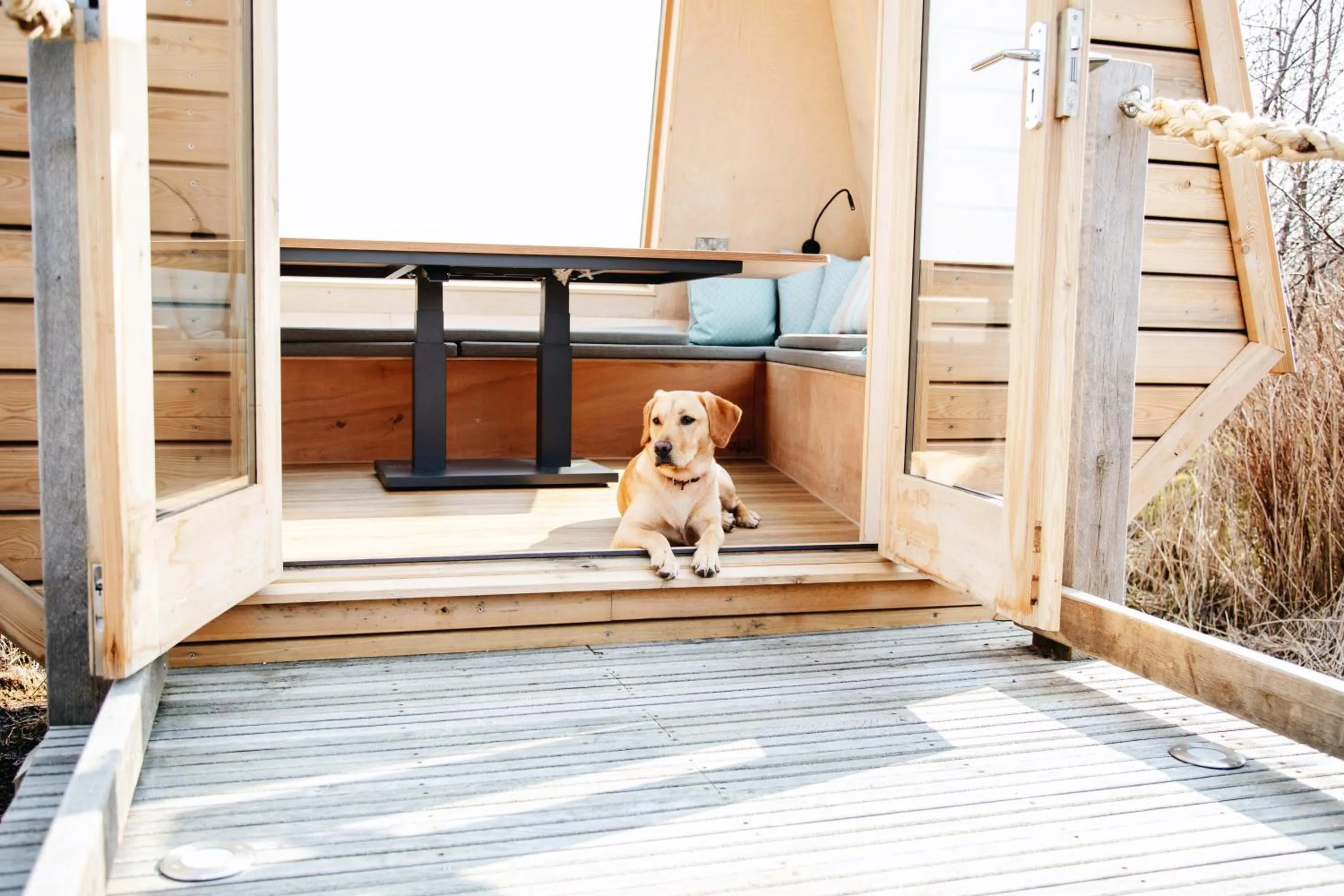 Pets in Isle Of Mull Hotel and Spa