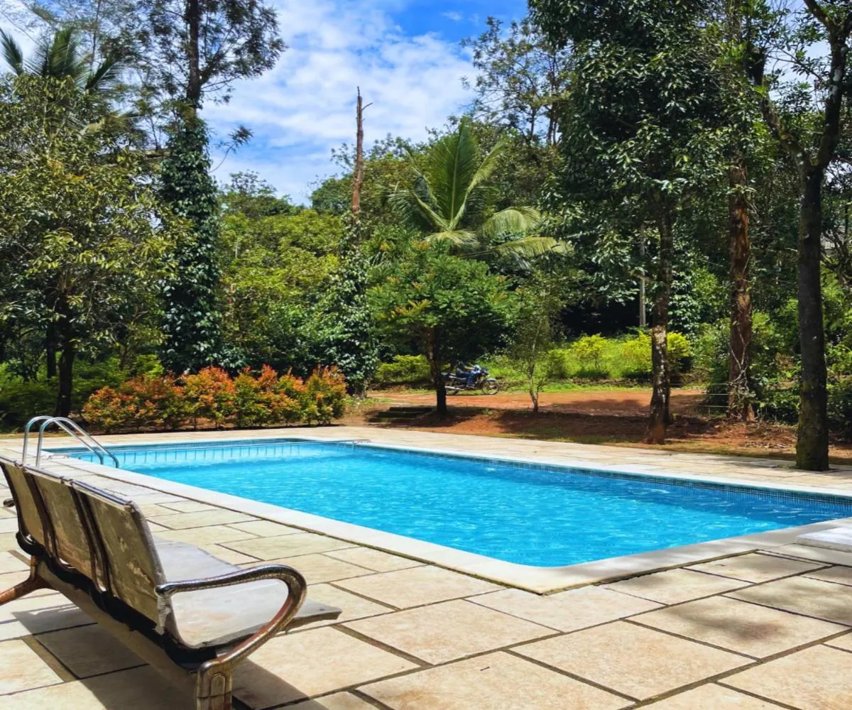 Misty Heights by The Sanihara