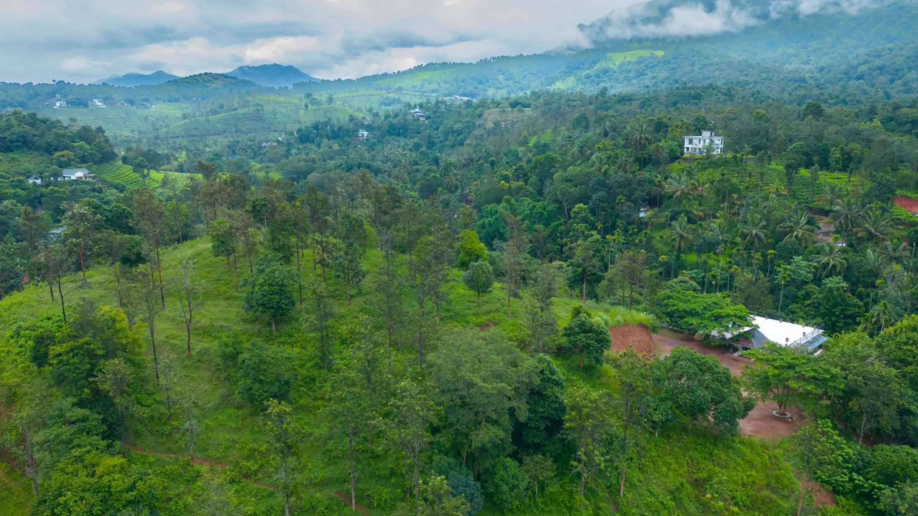 View (from property/room) in Misty Heights by The Sanihara
