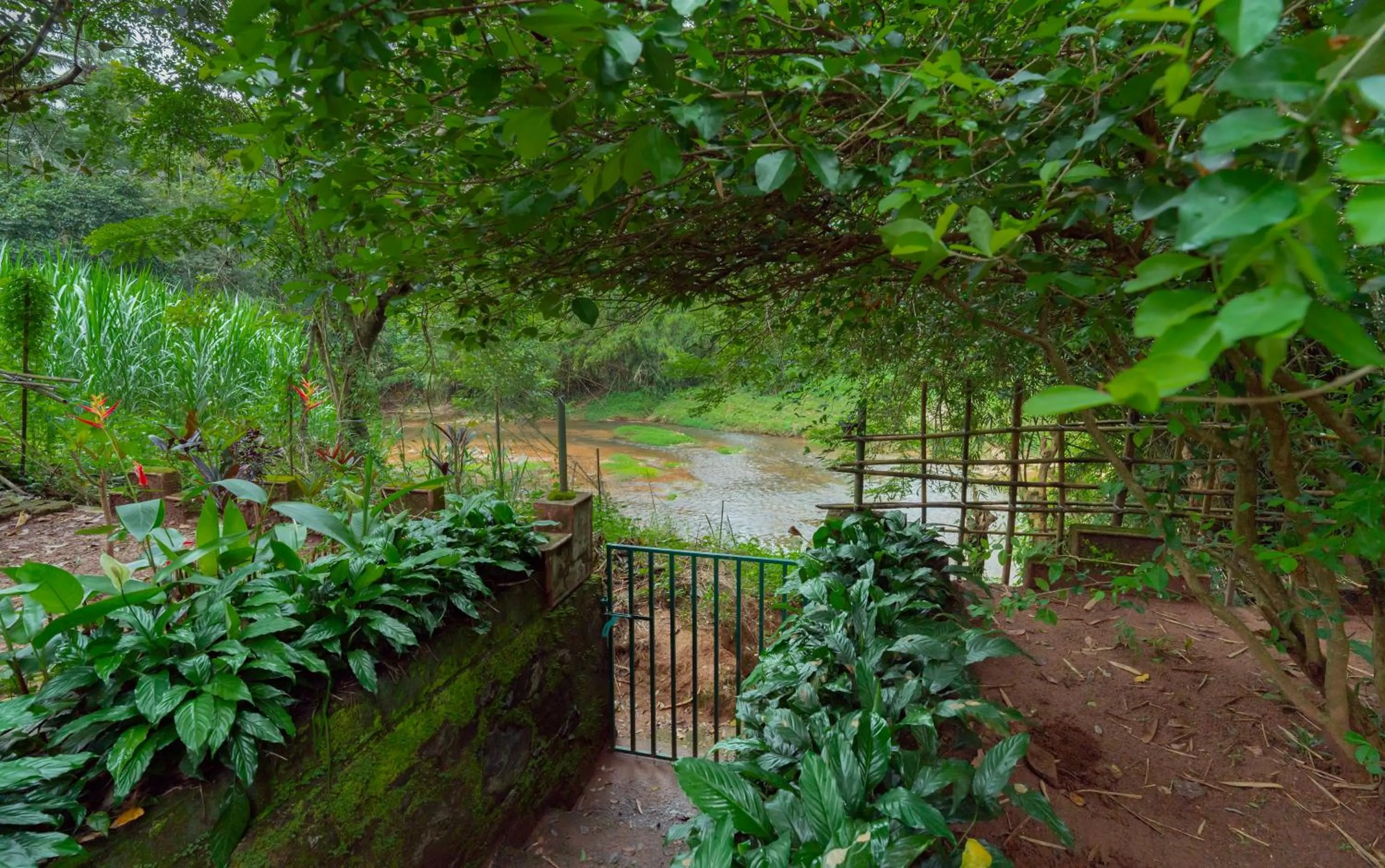 View (from property/room) in Misty Heights by The Sanihara