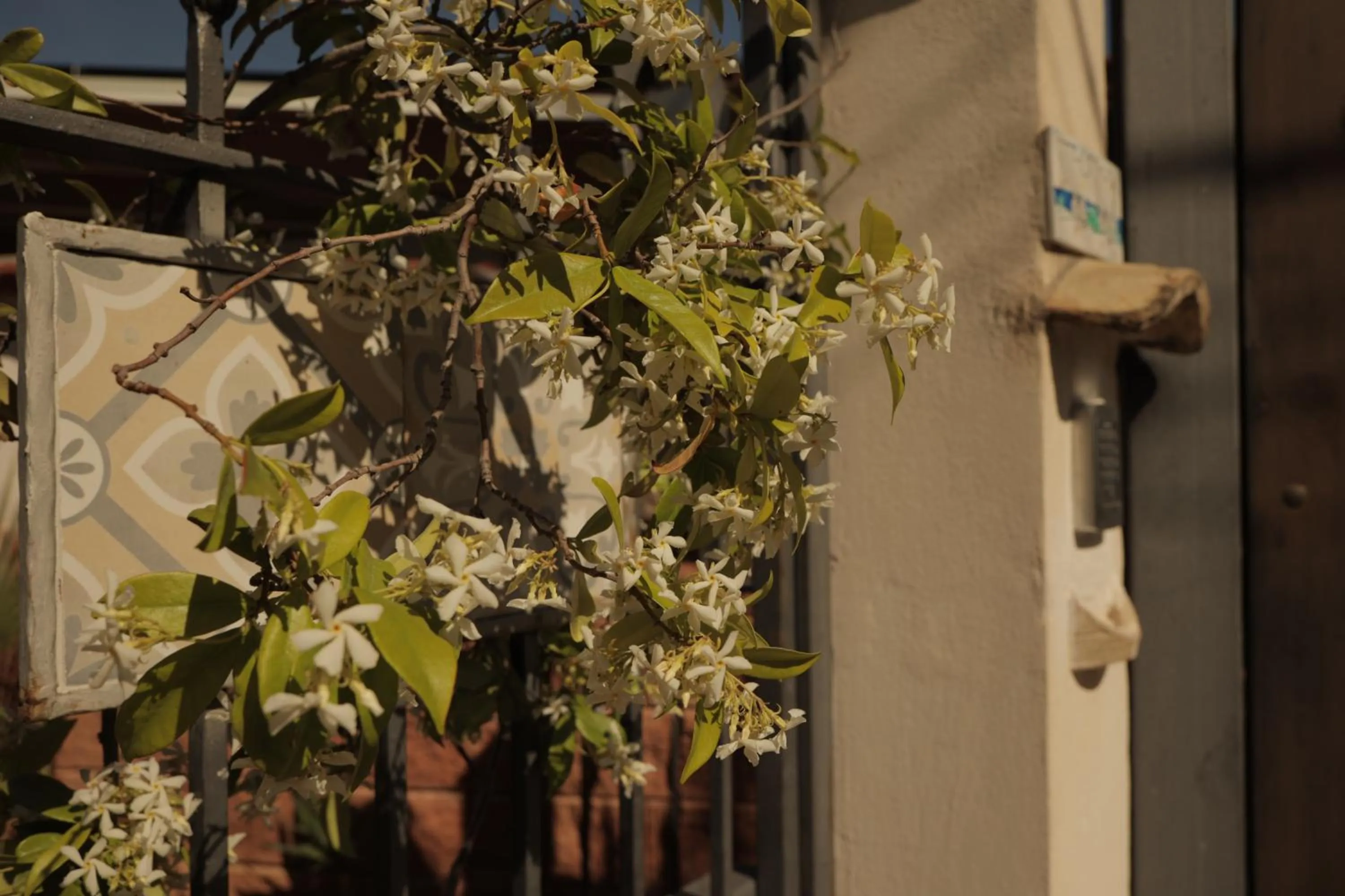 Spring in Sikelìa Bed & Breakfast