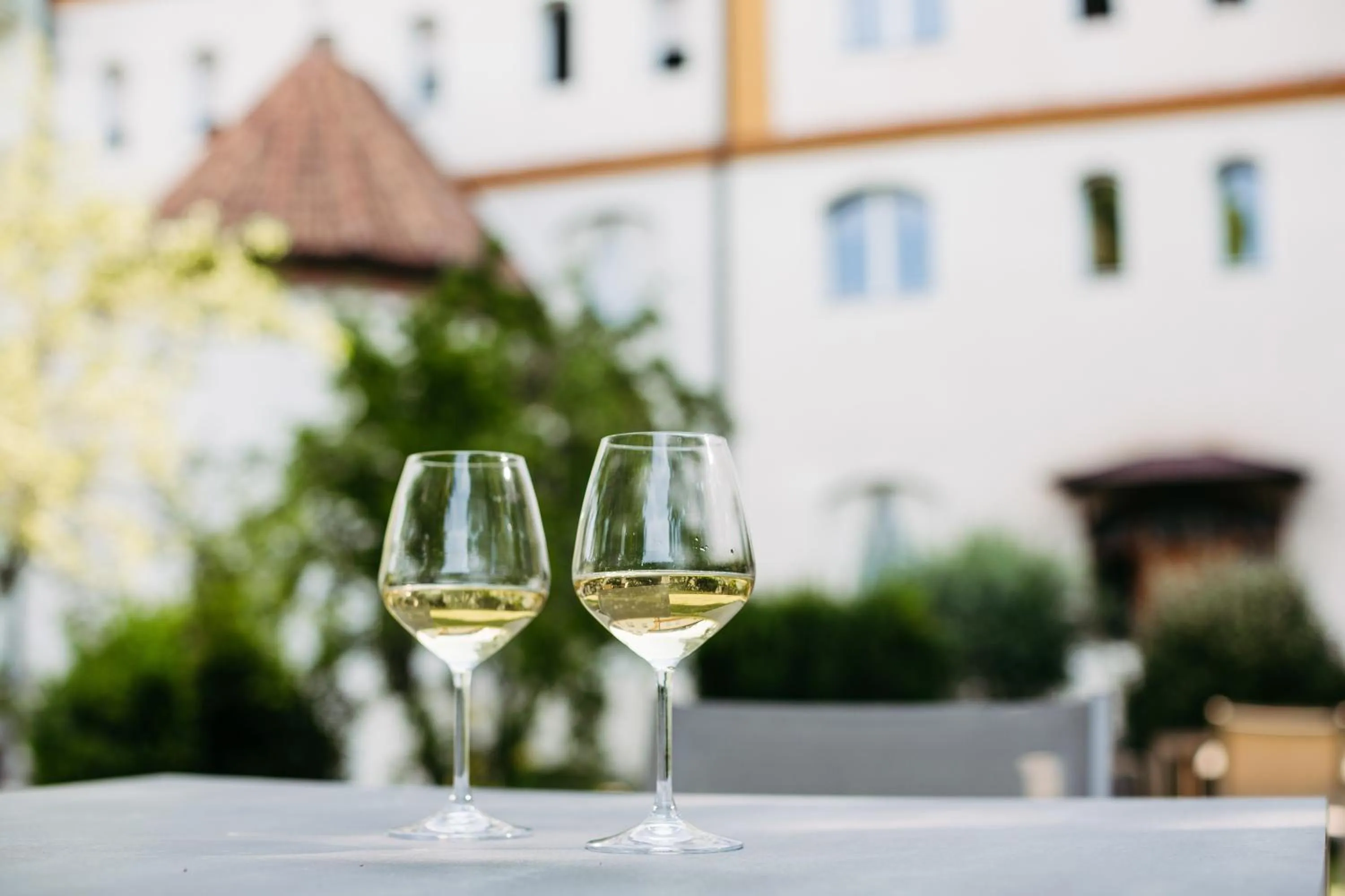 Garden in Gästehaus Salvatorianerinnen