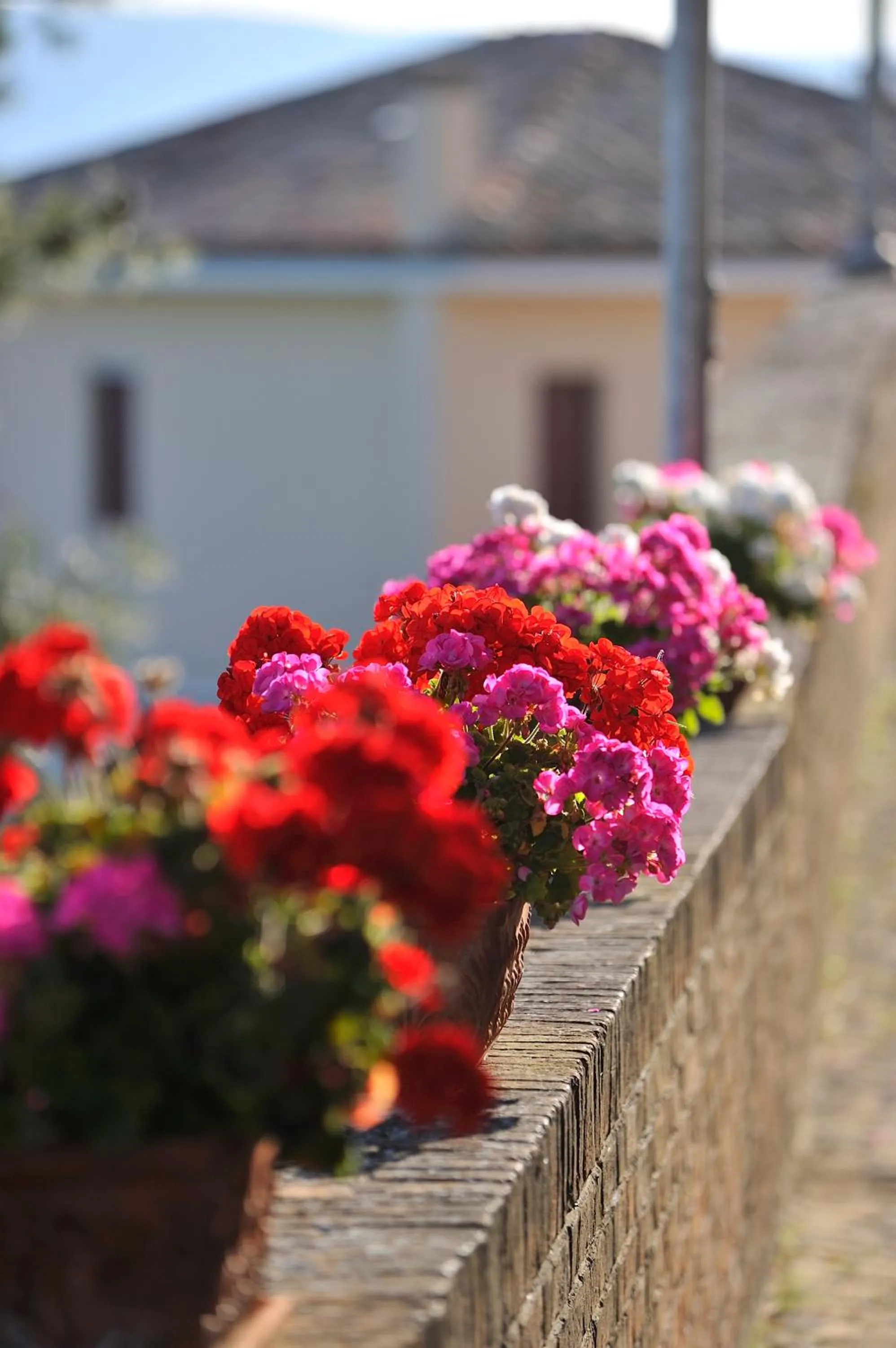 Garden view in Albergo Diffuso Borgo Montemaggiore