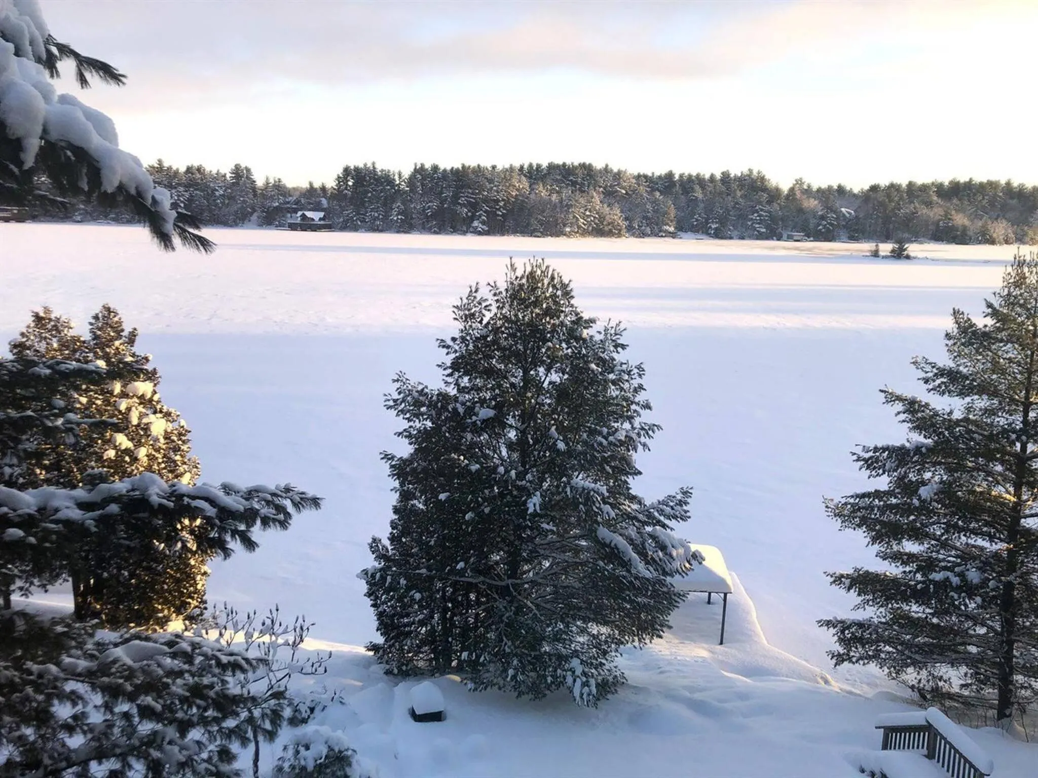 Muskoka Lakeshore Cottage Bliss