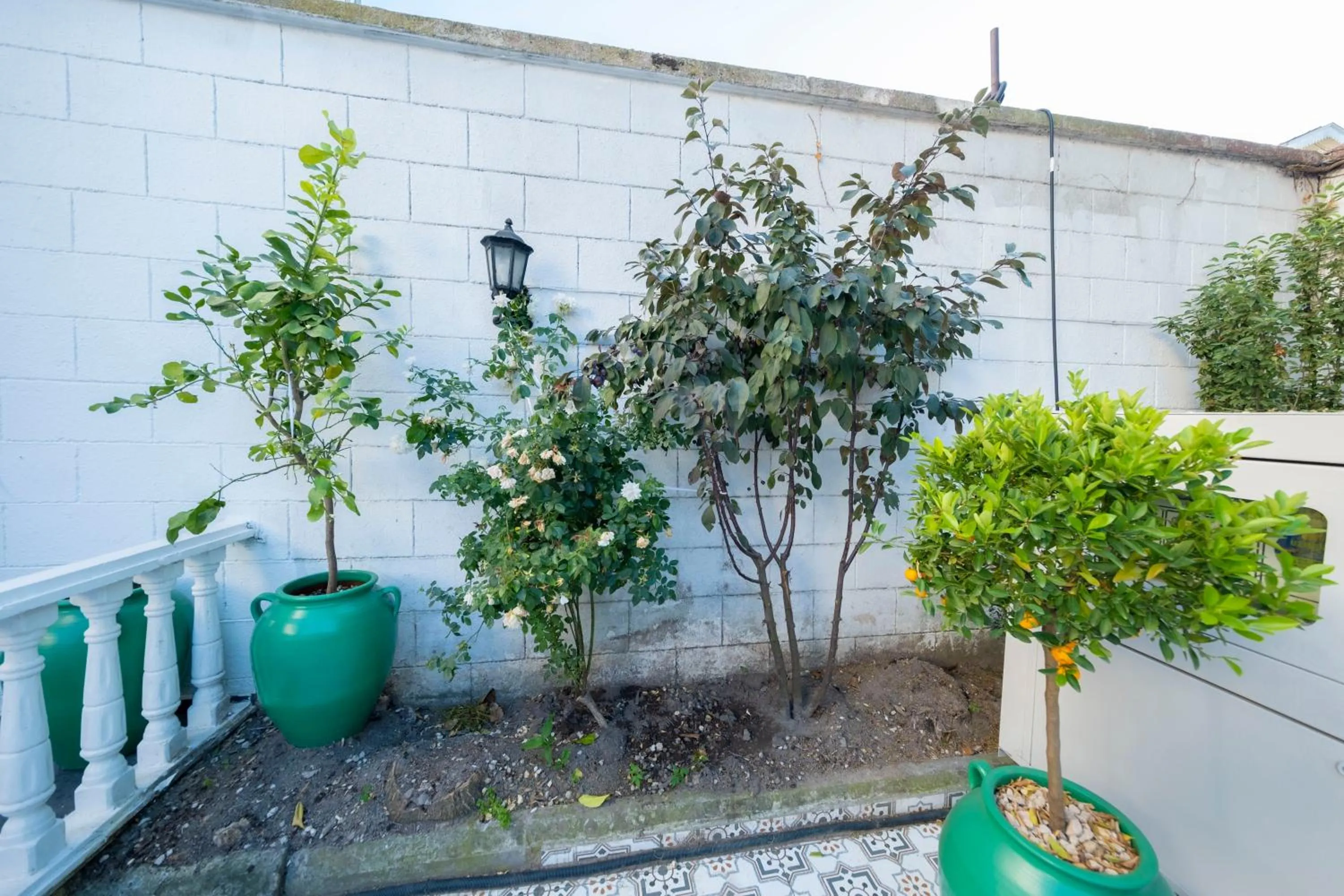 Spring in Solomon's Mansion Hotel Istanbul