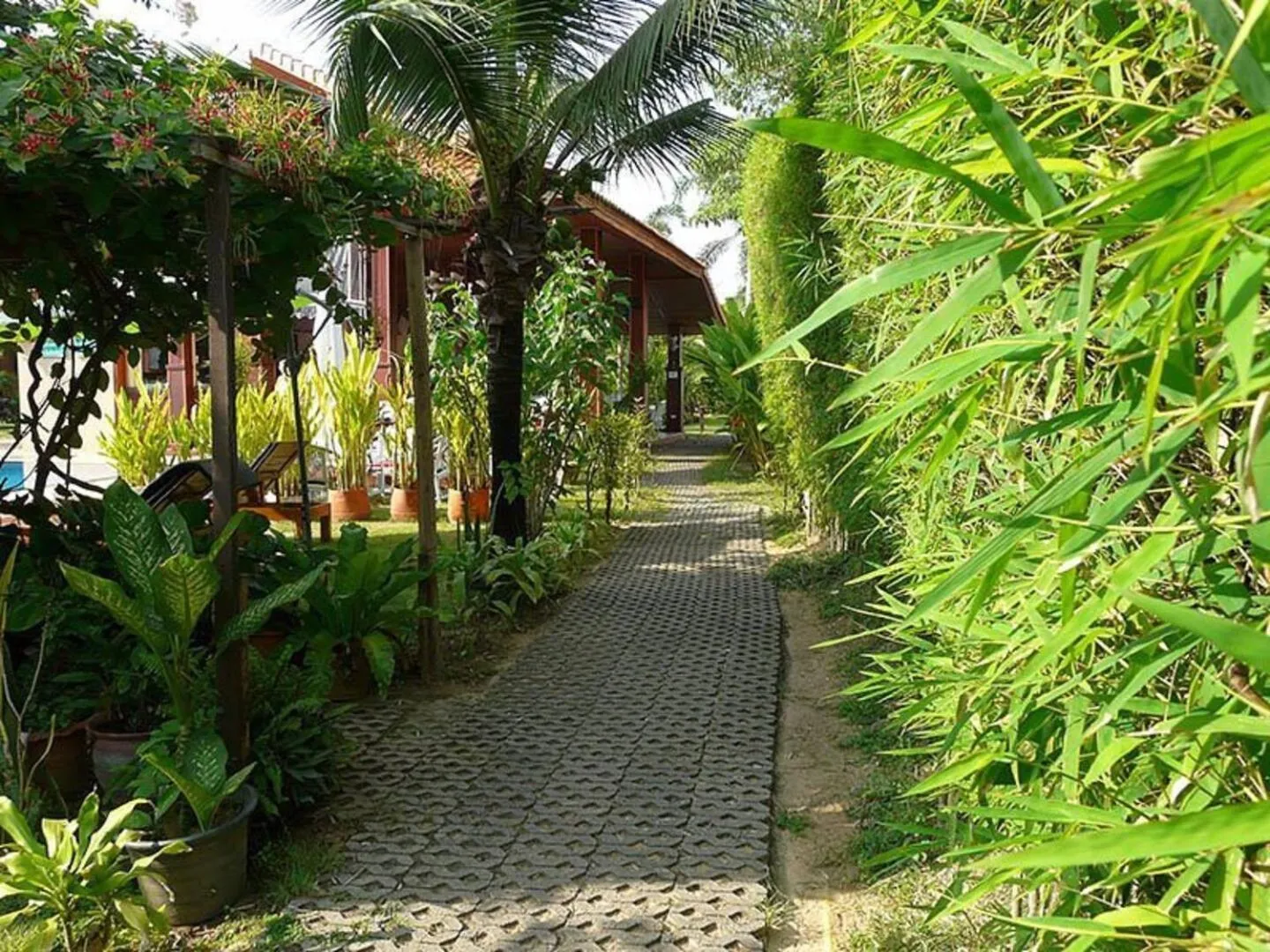 Garden in Bangsaray Village Resort
