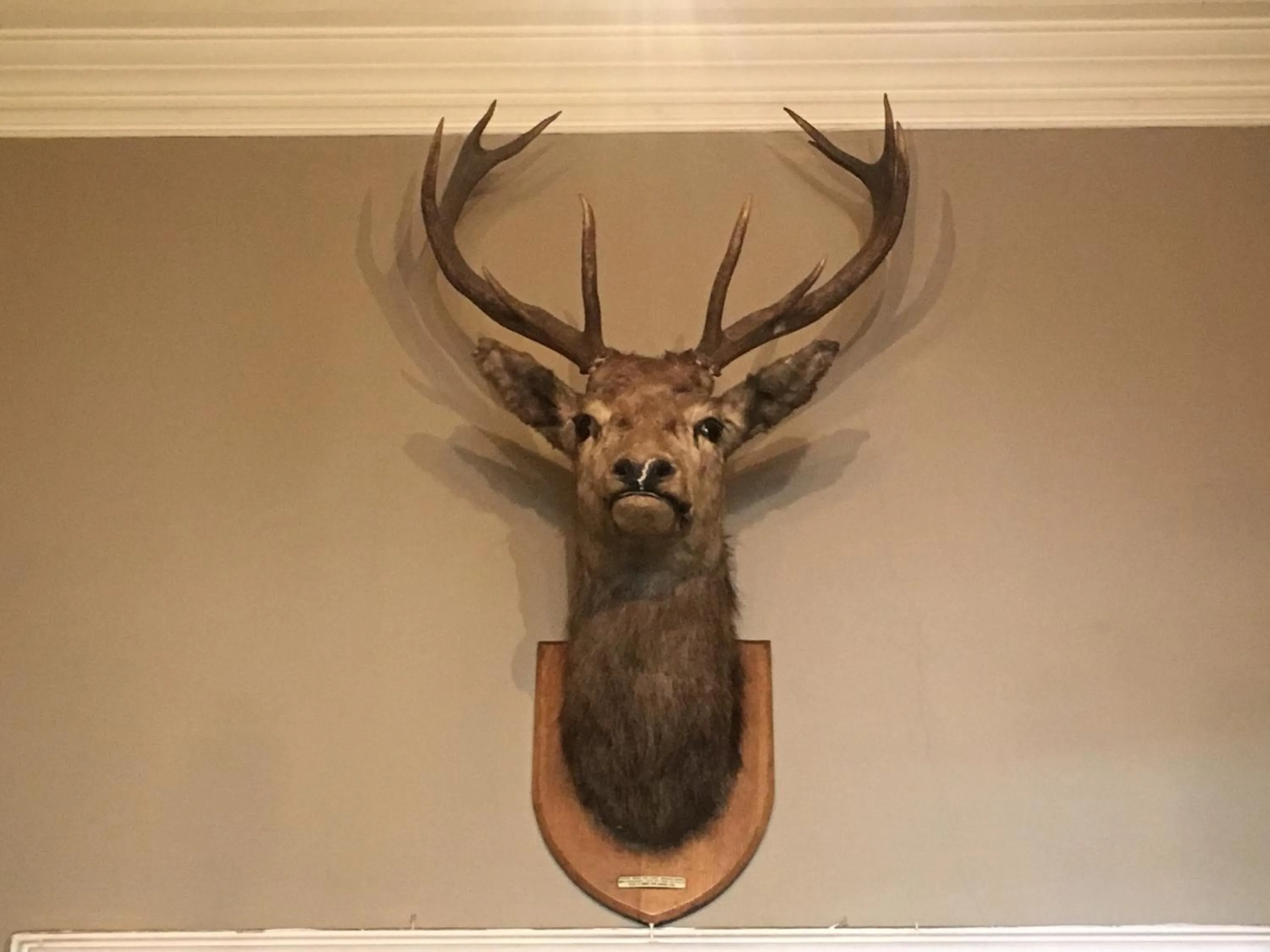 Decorative detail in Stonefield Castle Hotel ‘A Bespoke Hotel’