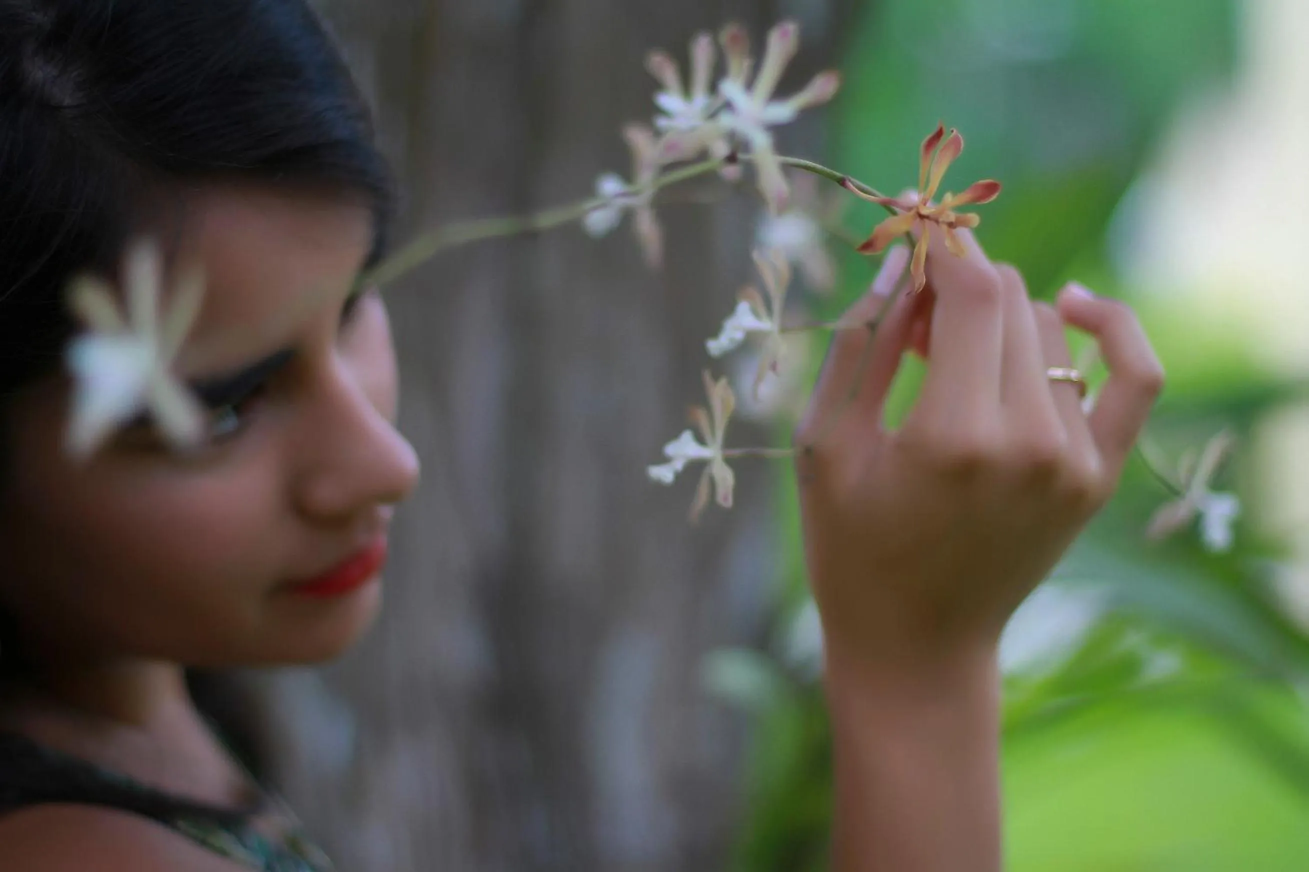 Garden in hotel villas chicanna